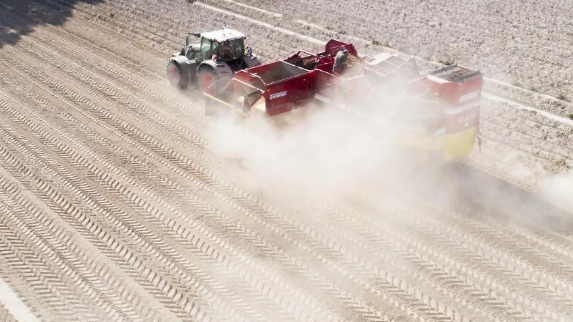 Ein Landwirt erntet Kartoffeln auf einem staubtrockenen Feld