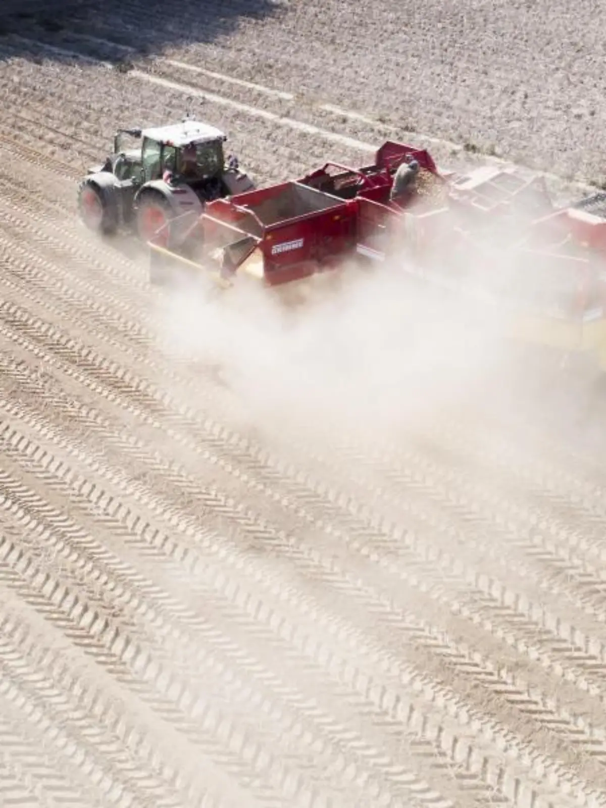 Ein Landwirt erntet Kartoffeln auf einem staubtrockenen Feld