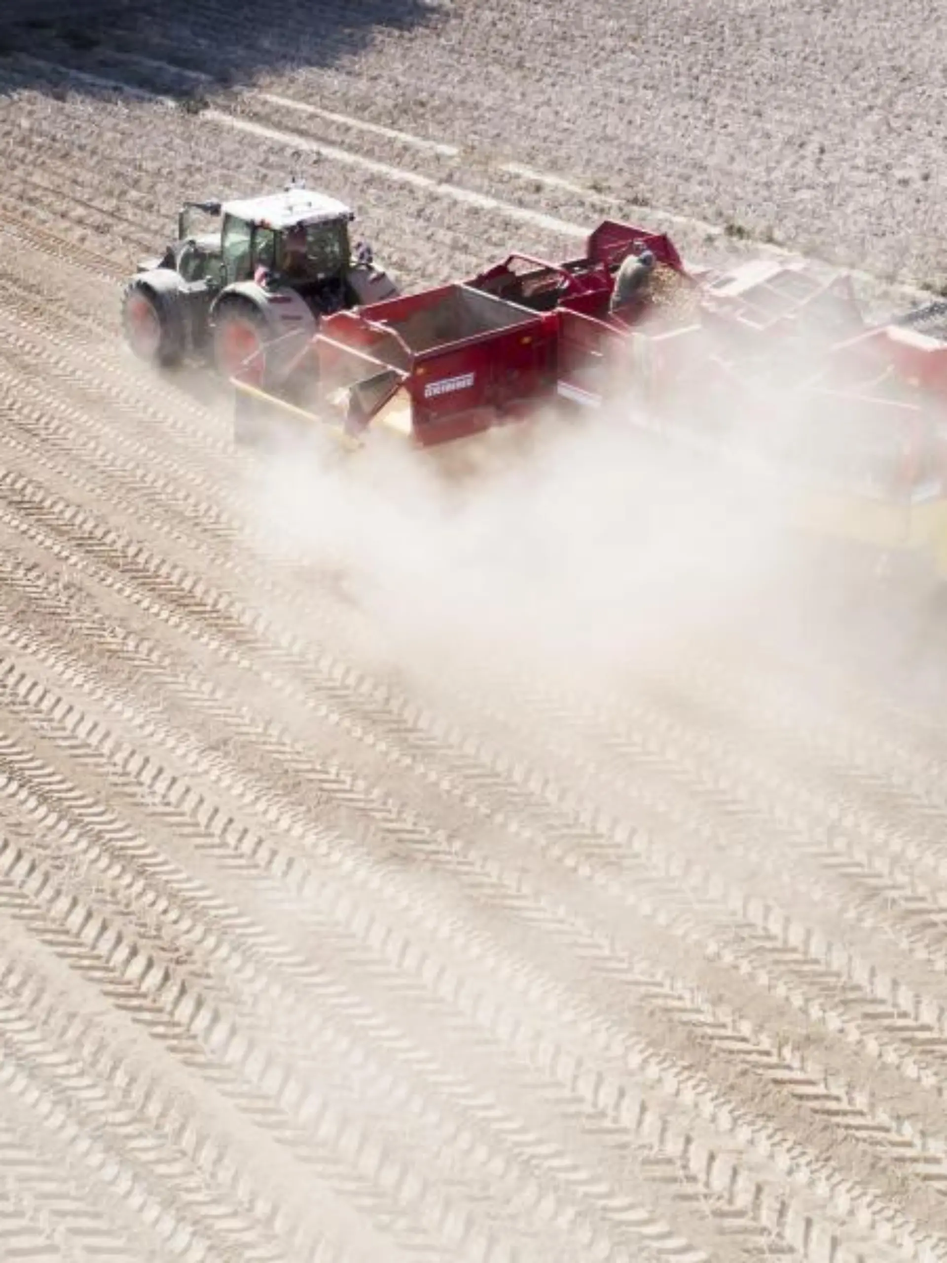 Ein Landwirt erntet Kartoffeln auf einem staubtrockenen Feld