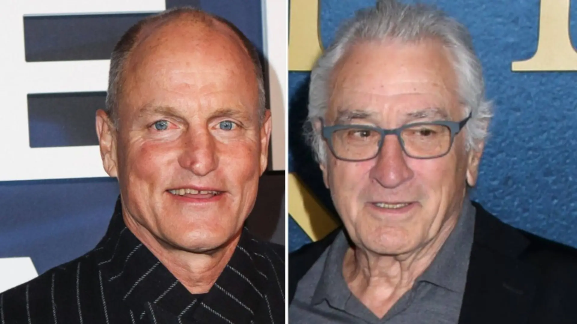 Woody Harrelson hat Robert De Niros große Hundeliebe enthüllt.