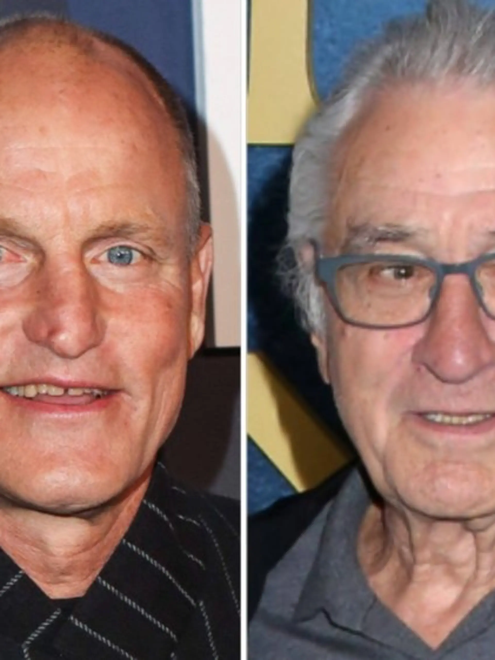 Woody Harrelson hat Robert De Niros große Hundeliebe enthüllt.