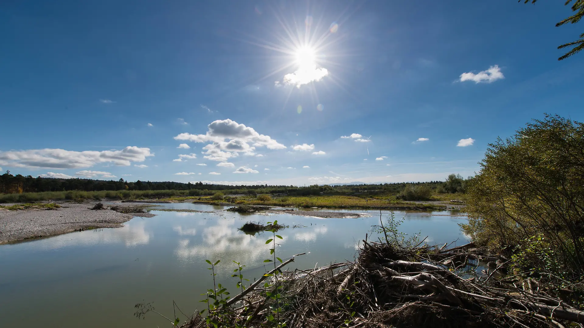 Die Pupplinger Au bei Wolfratshausen: In diesem Gebiet an der Isar wurde die vermisste 95-Jährige lebend gefunden.