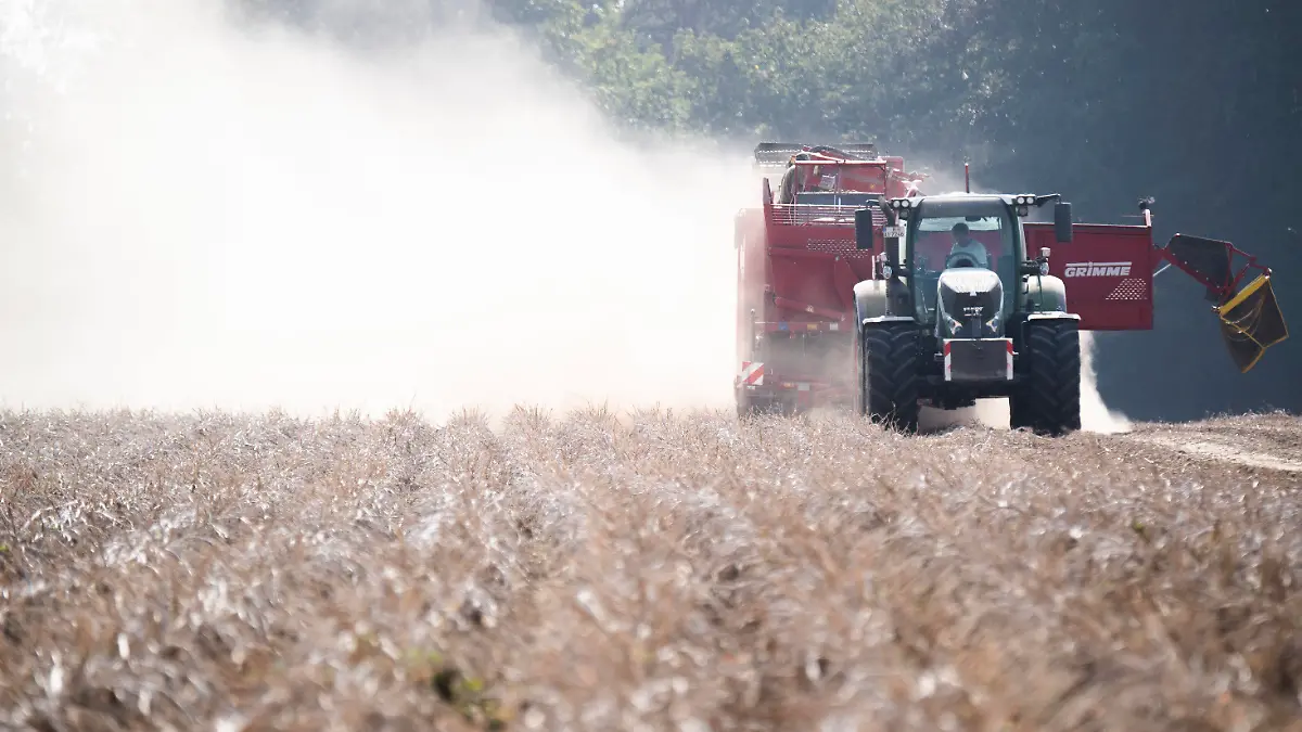 ARCHIV - 23.09.2020, Niedersachsen, Pattensen: Ein Landwirt erntet Kartoffeln auf einem staubtrockenen Feld in der Region Hannover. Die anhaltende Trockenheit erschwerte die Erntearbeiten. (zu «DWD: Trockenheit war auch 2020 Problem für Landwirte und Wälder») Foto: Julian Stratenschulte/dpa +++ dpa-Bildfunk +++