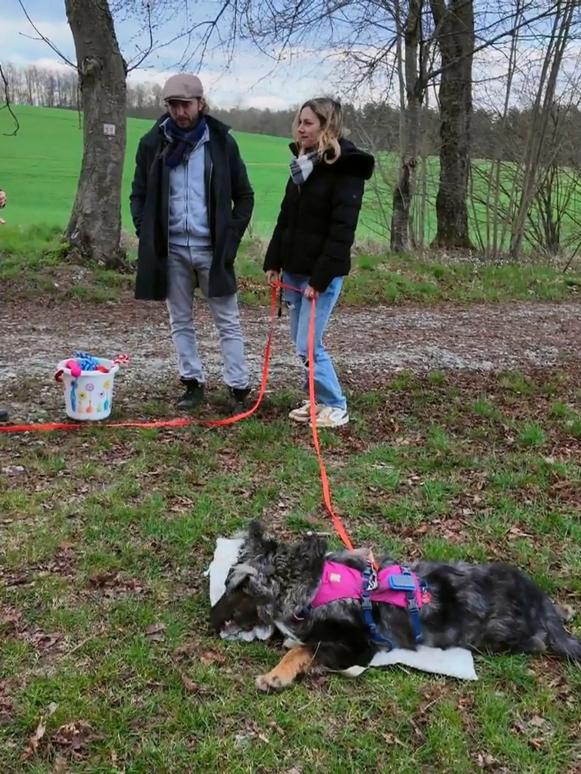 Bild zu: "Sophie gibt Tamara und David Hausaufgaben"