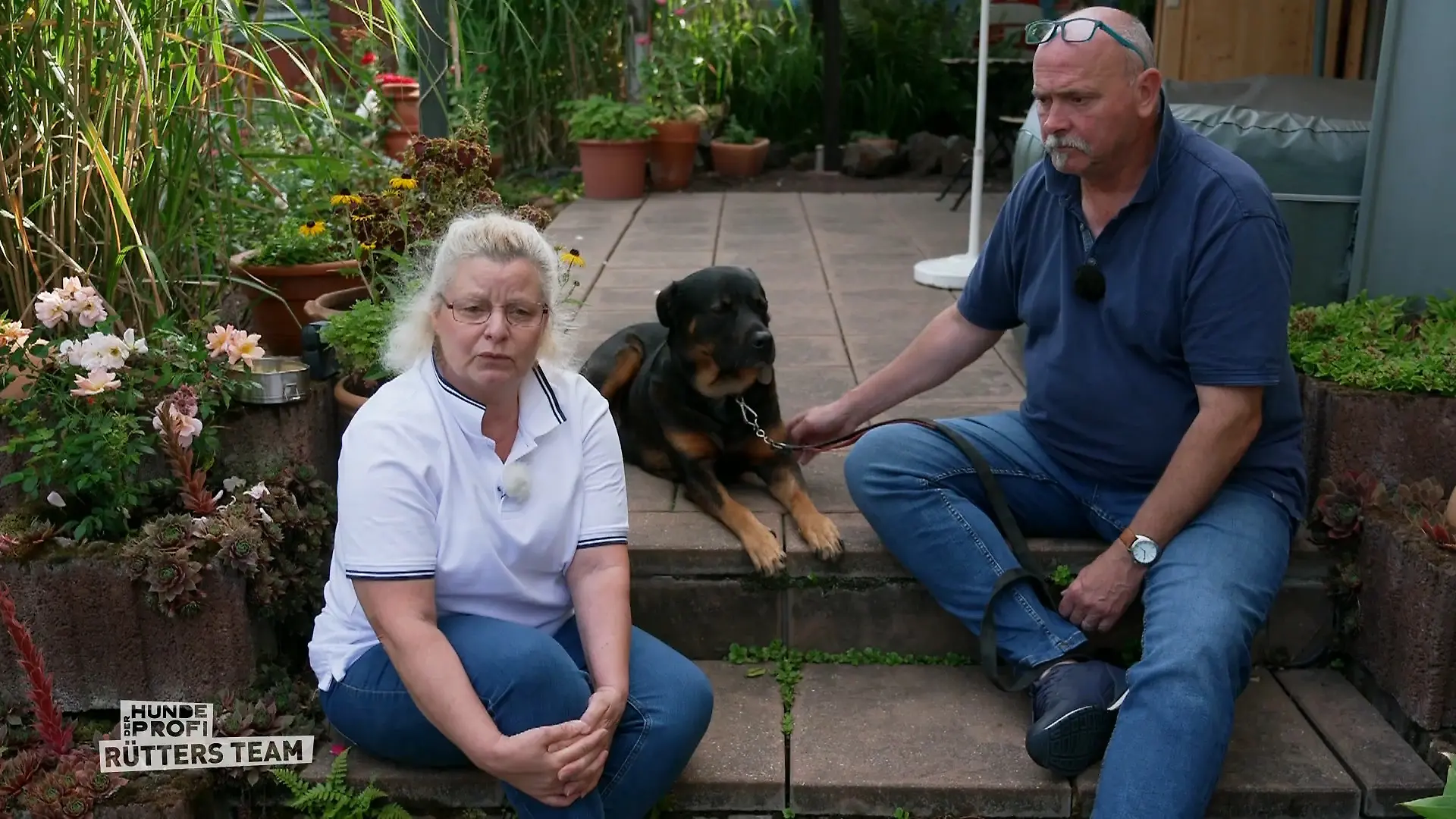 Bekommt Köbes bald einen Hundekumpel? Abschlussbesuch