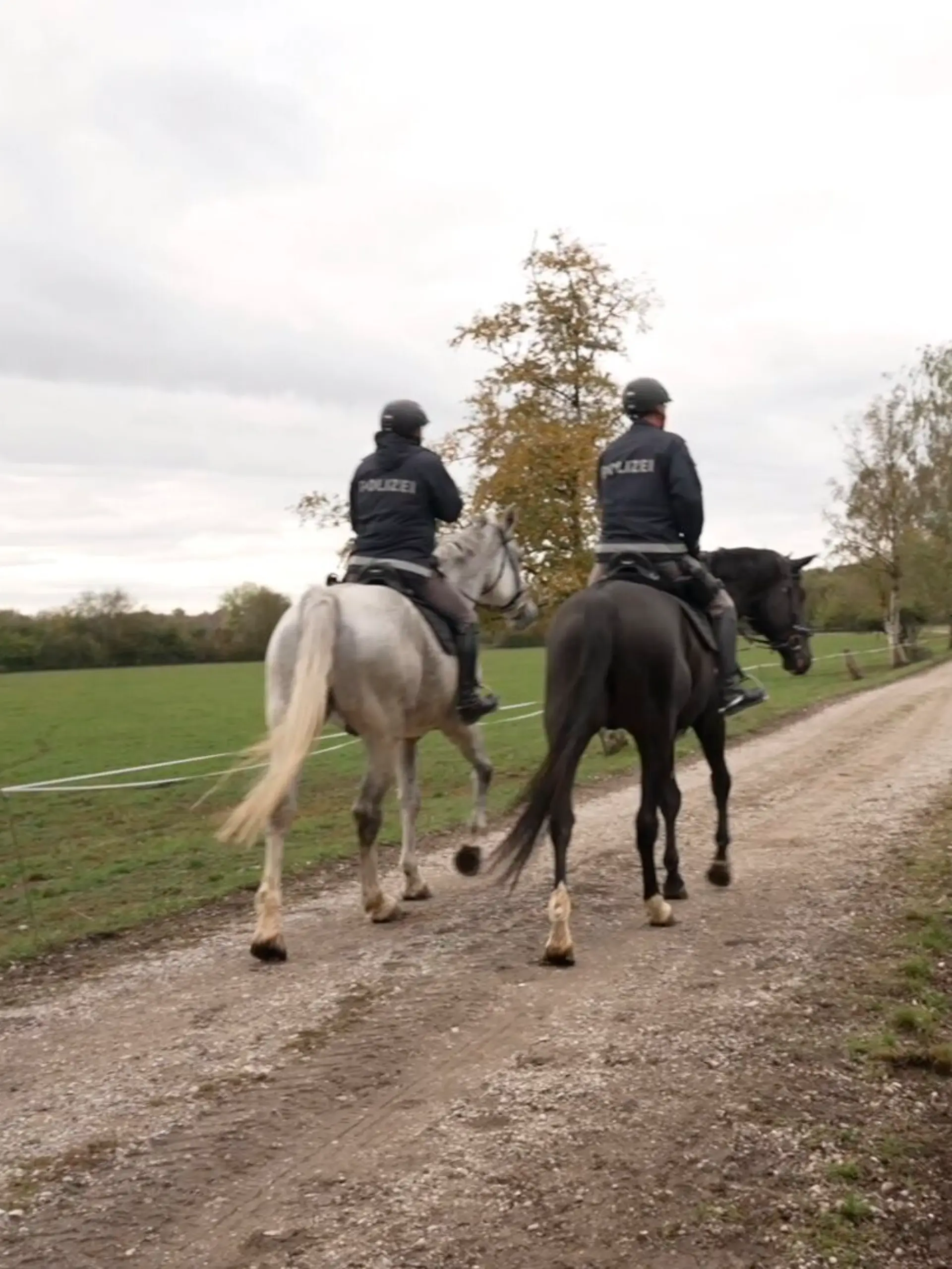 Jetzt sucht die Polizei sogar hoch zu Ross! Eine Reiterstaffel soll im Notzinger Moos bei München neue Spuren des möglichen Pumas entdecken.