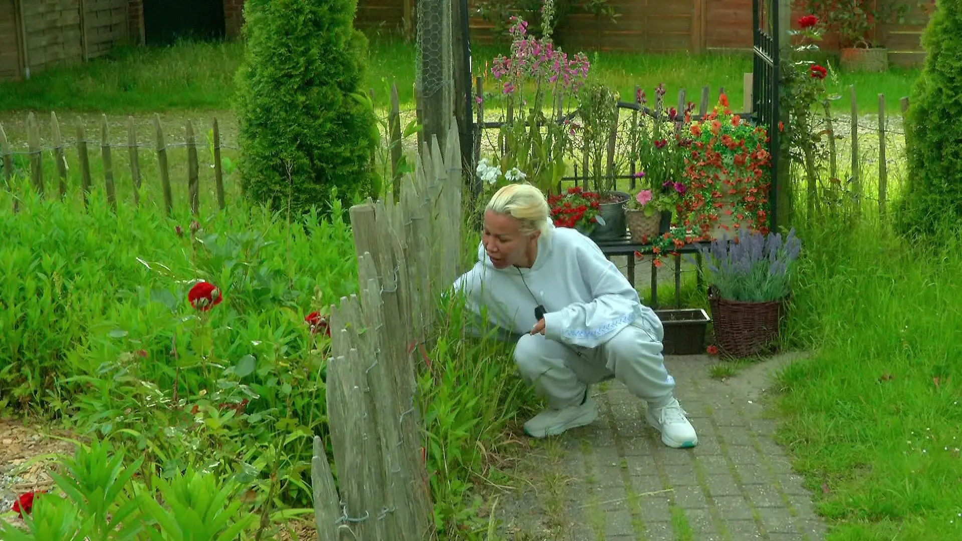 Ginger Costello-Wollersheim versteckt Tabak in „Das Sommerhaus der Stars” 2026