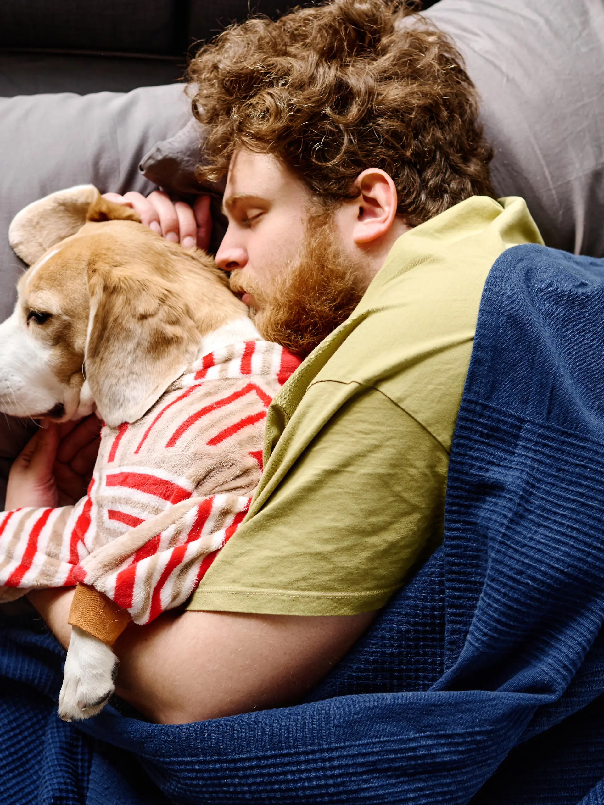 High angle view of bearded young man lying under blanket in bed and cuddling his dog || Modellfreigabe vorhanden