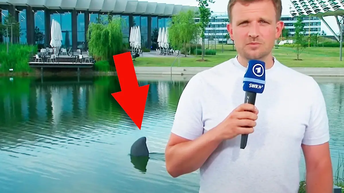 Was war denn da los?