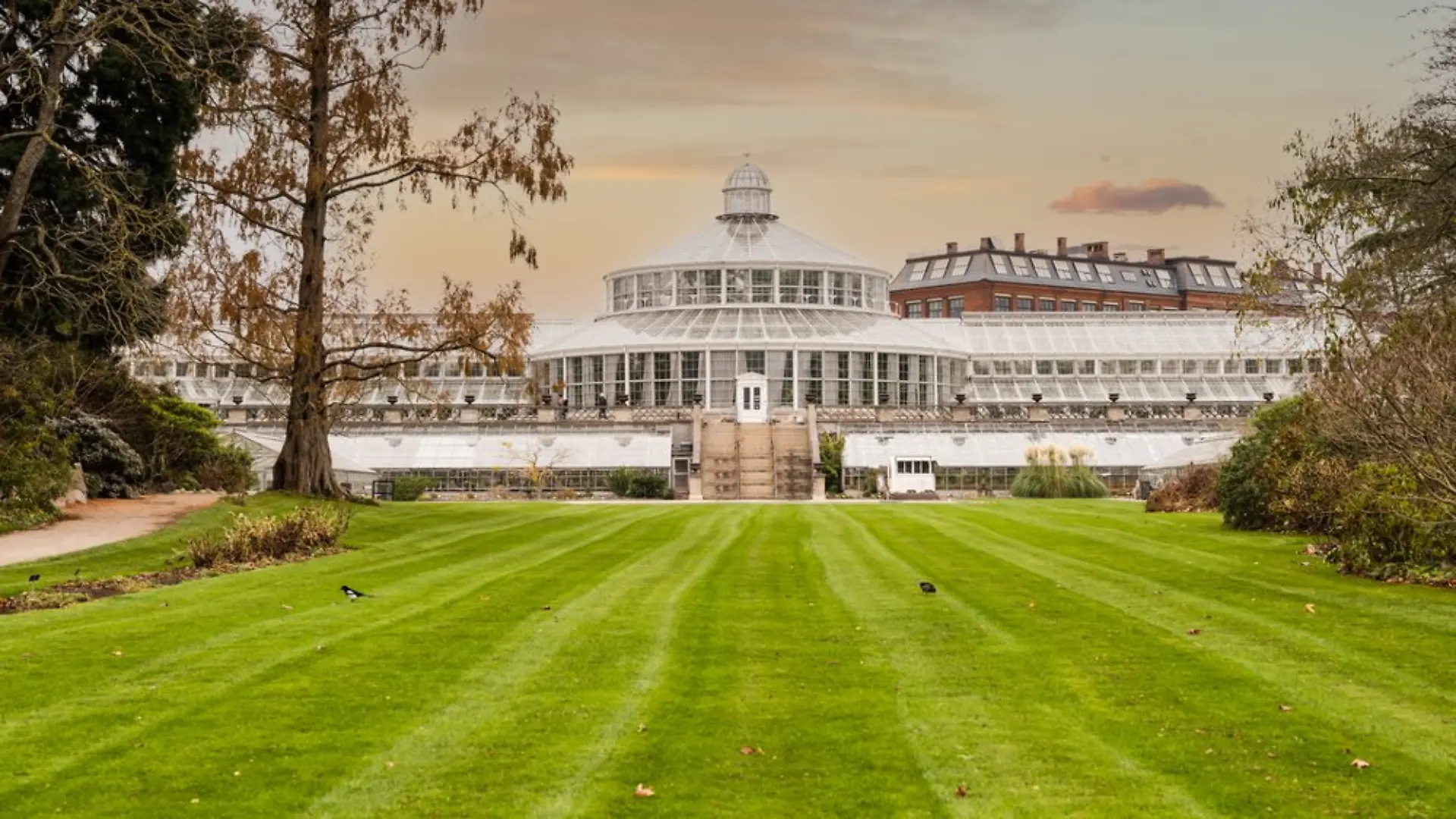 Eine Aufnahme aus dem botanischen Garten in Kopenhagen.