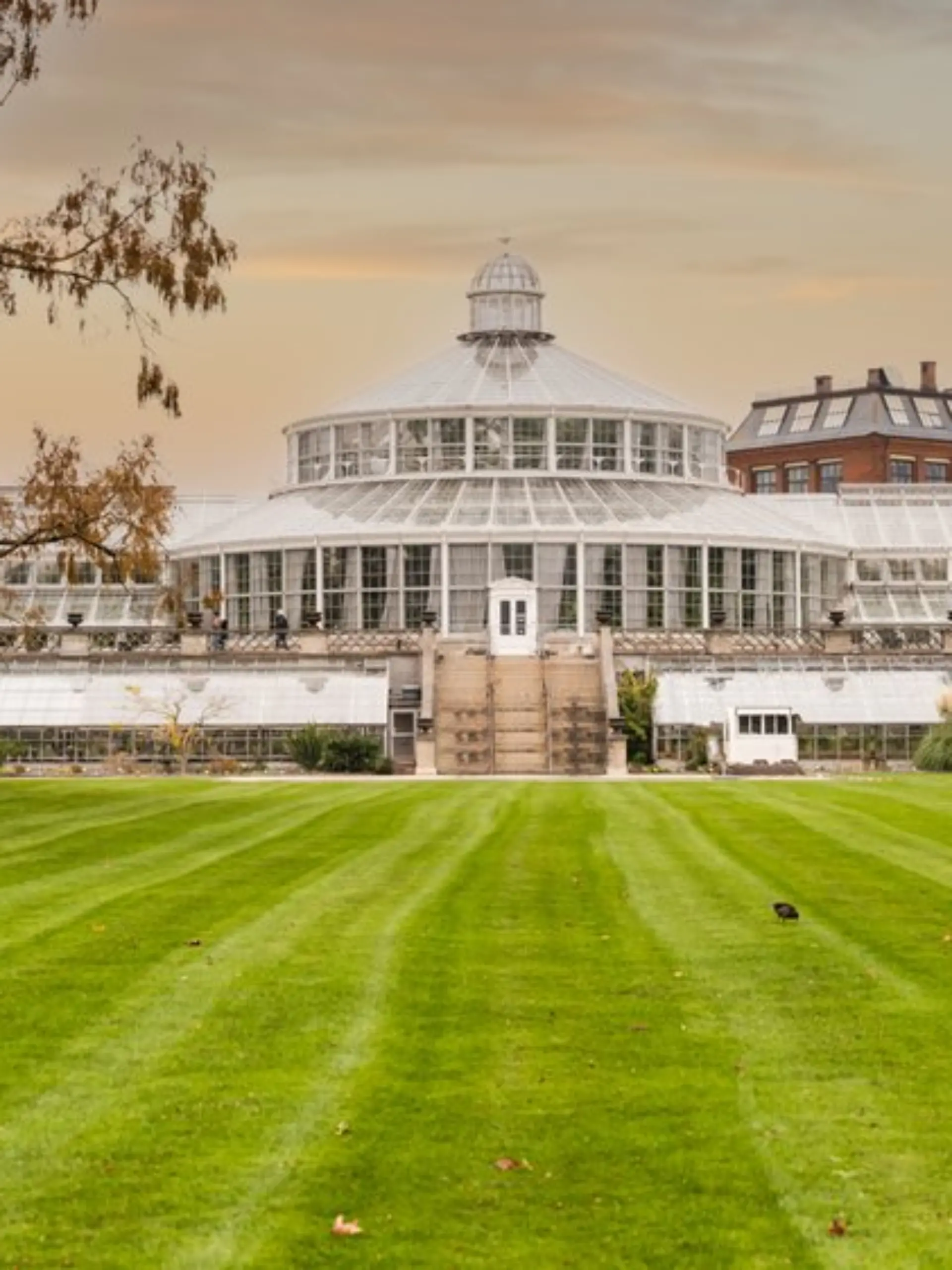 Eine Aufnahme aus dem botanischen Garten in Kopenhagen.