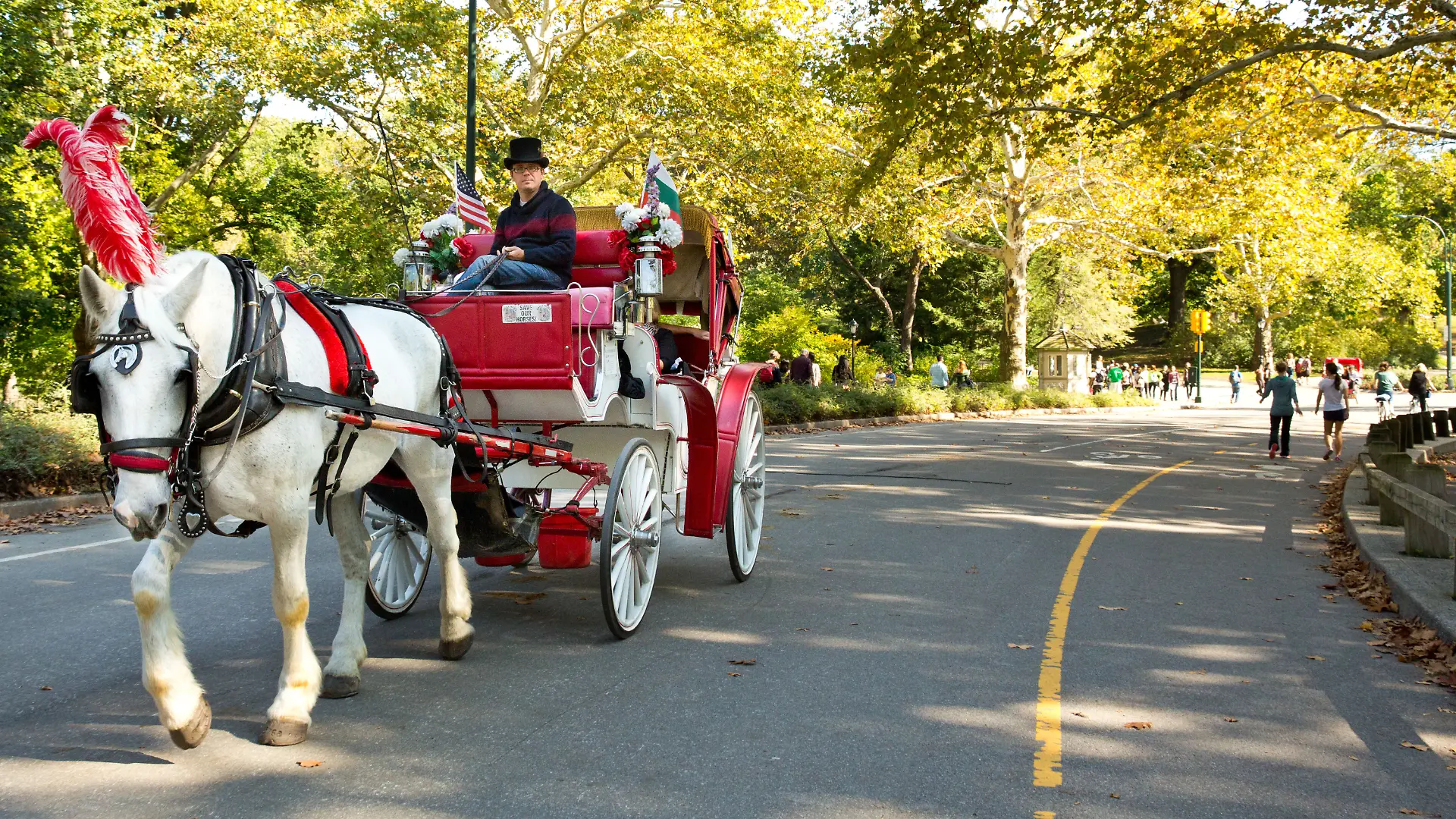 Kutsche im Central Park, Manhattan, New York City, USA, 17.10.2014.