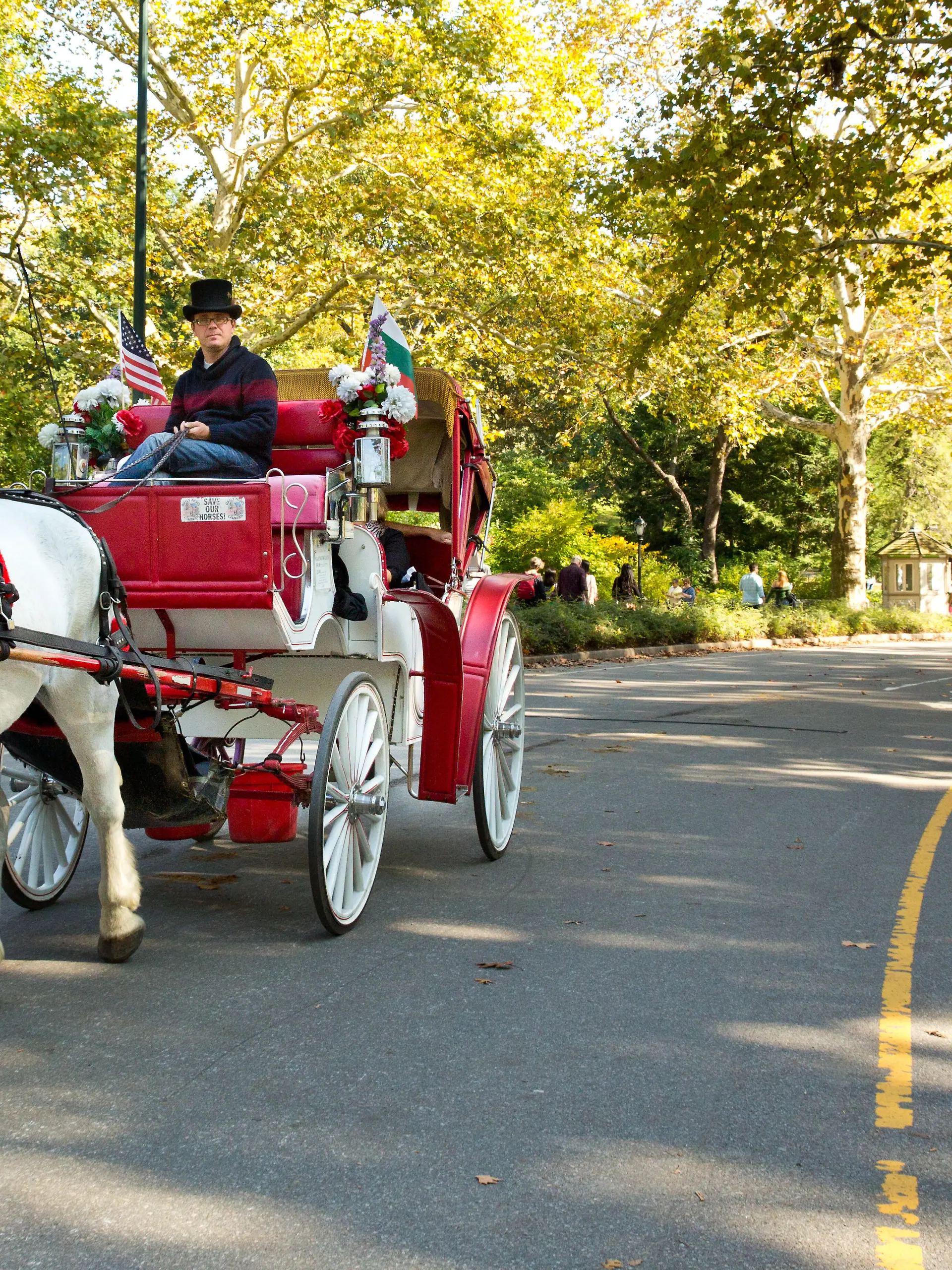 Kutsche im Central Park, Manhattan, New York City, USA, 17.10.2014.