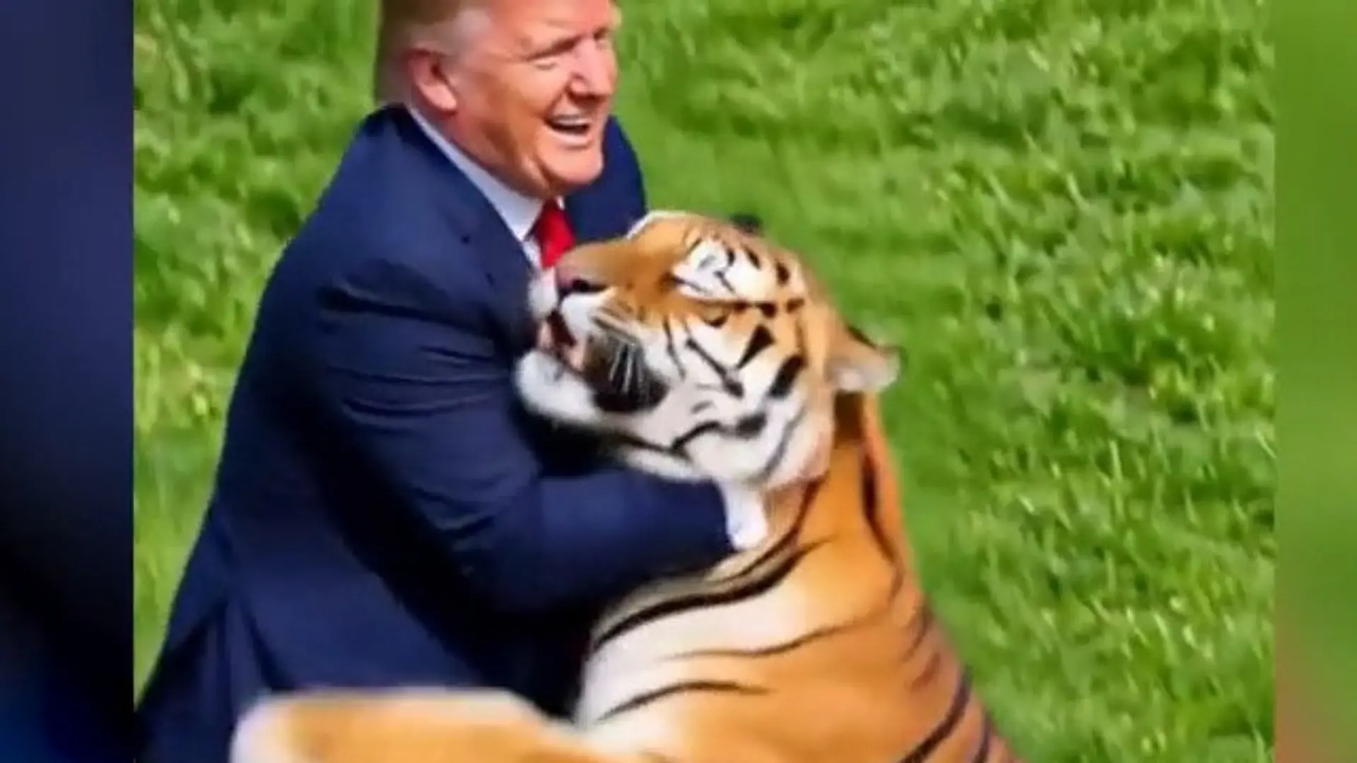 Nach tödlicher Tiger-Attacke! Donald Trump verhöhnt Opfer-Familie – mit DIESEM Video Verstörende Inszenierung des US-Präsidenten