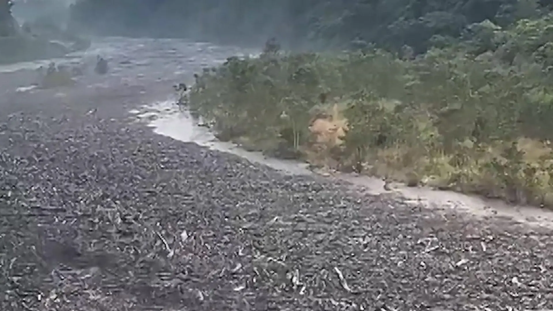 Nach erneuter Sturzflut in Nepal! Tausende Baumstämme treiben flussabwärts Wassermaßen reißen alles mit sich