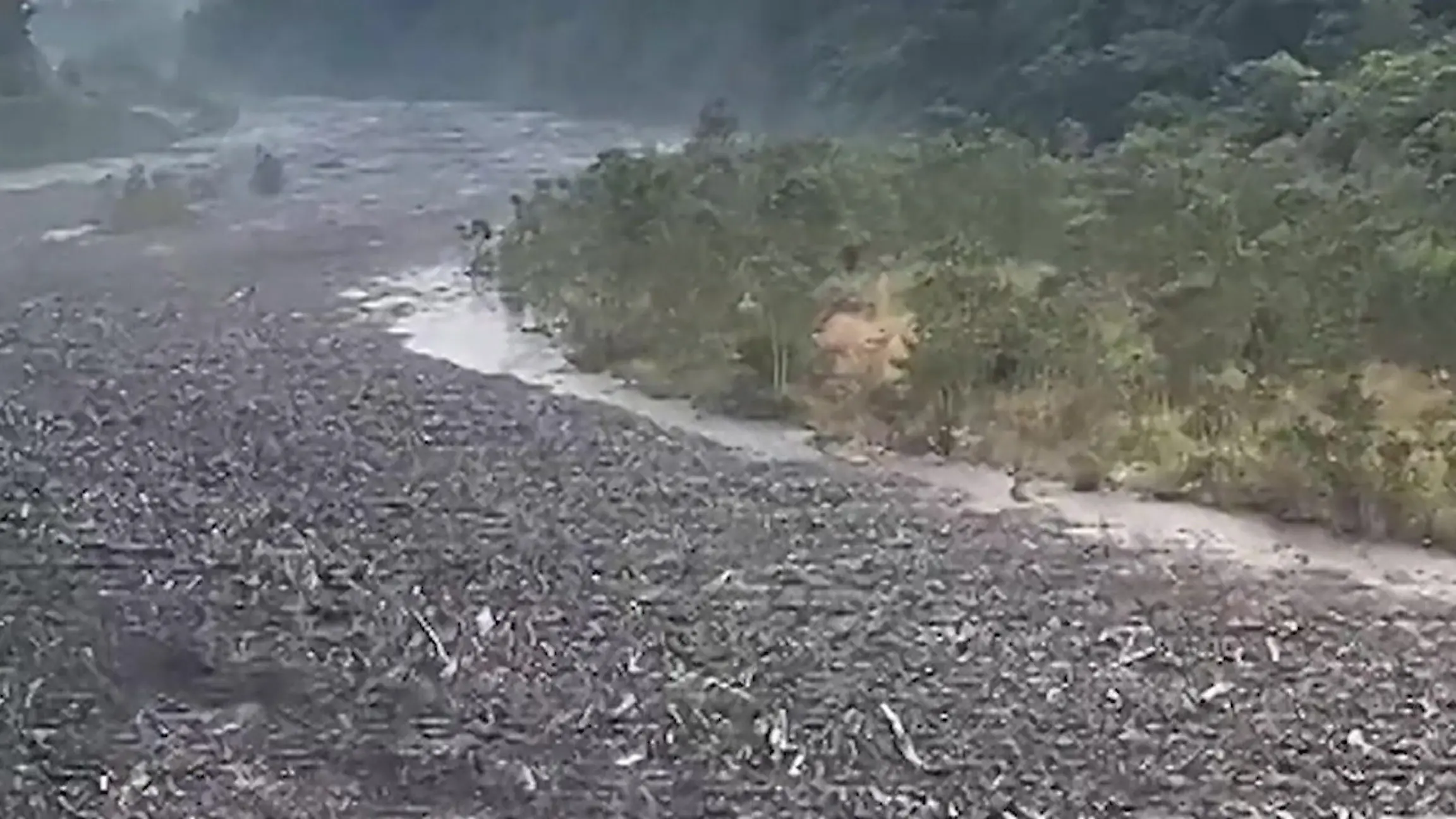 Nach erneuter Sturzflut in Nepal! Tausende Baumstämme treiben flussabwärts Wassermaßen reißen alles mit sich