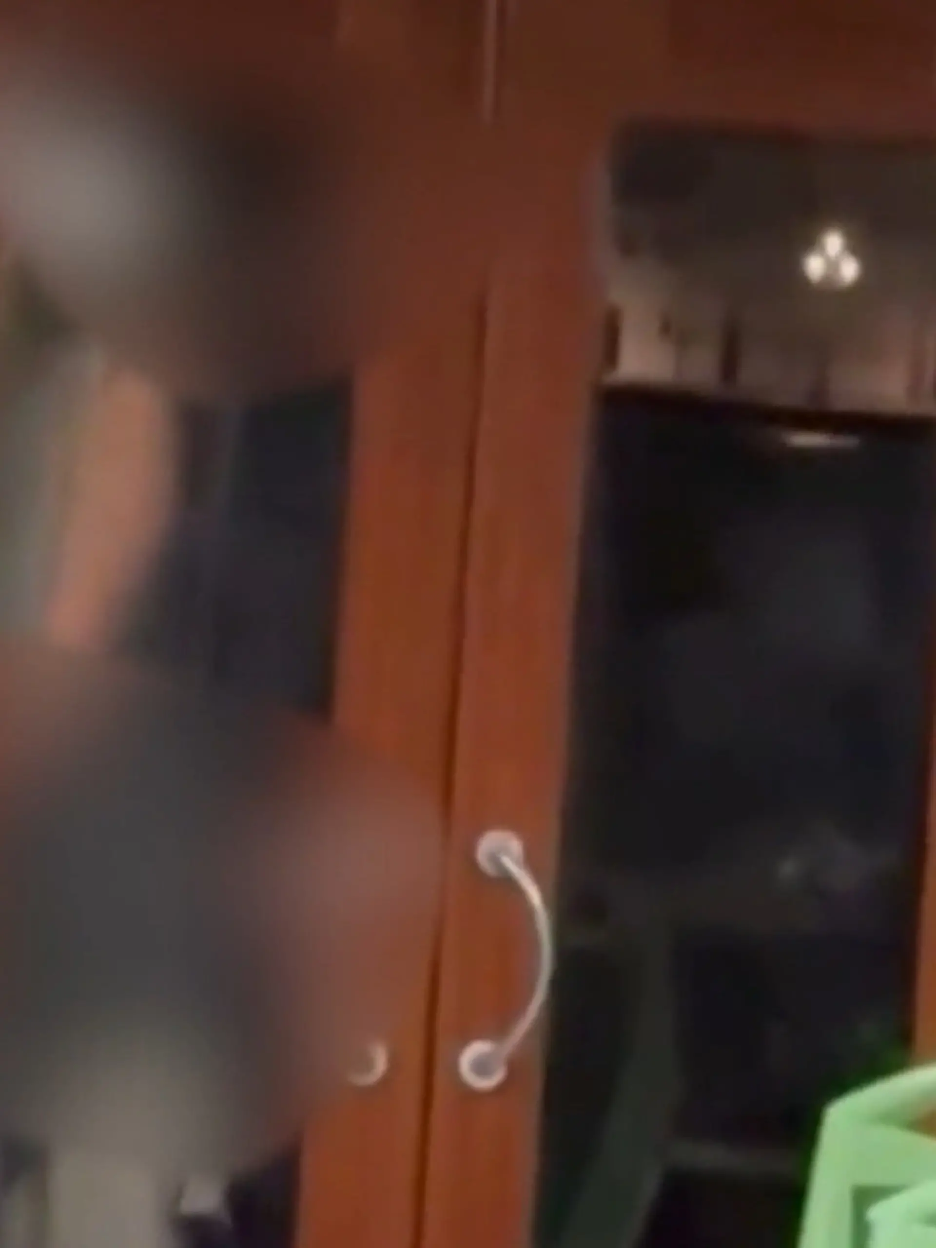 Bild zu: "Sex hinter Glastür! Pärchen gibt auf Wasserbus Vollgas – direkt vor anderen Passagieren "