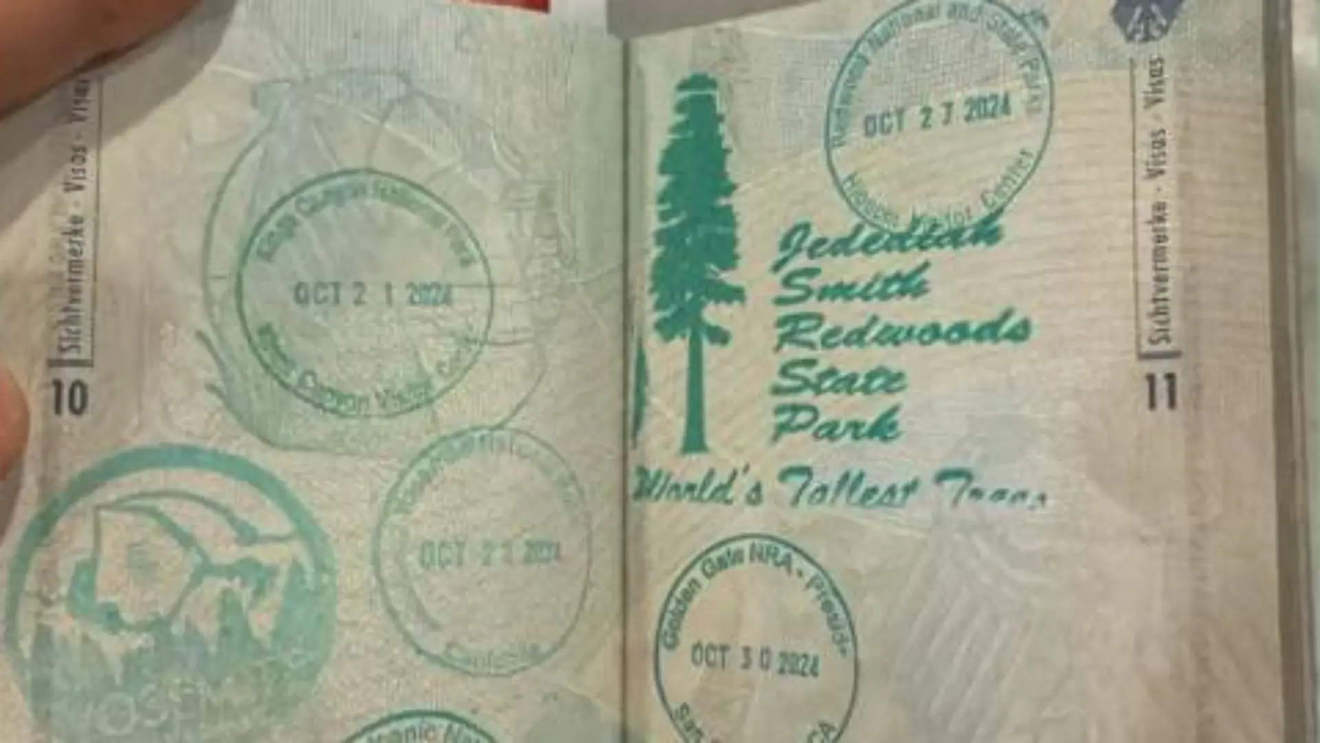 Diese Stempel im Pass handelten Zuschauerin Vanessa D. reichlich Ärger ein.
