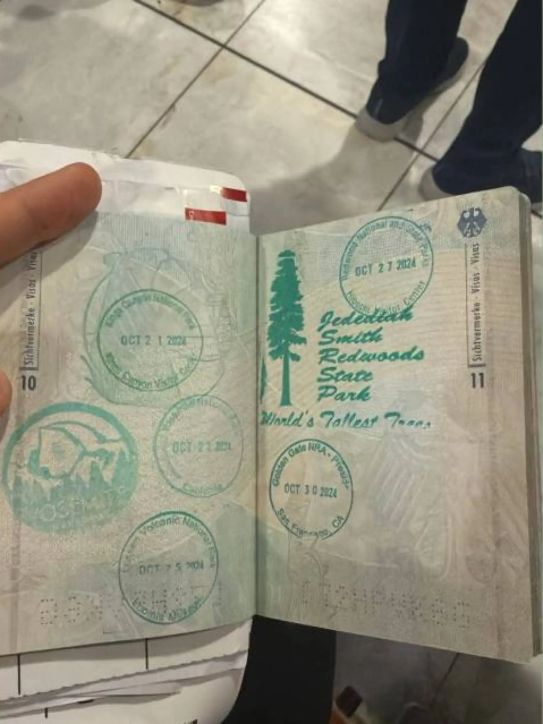 Diese Stempel im Pass handelten Zuschauerin Vanessa D. reichlich Ärger ein.