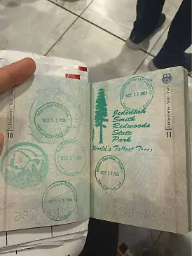 Diese Stempel im Pass handelten Zuschauerin Vanessa D. reichlich Ärger ein.