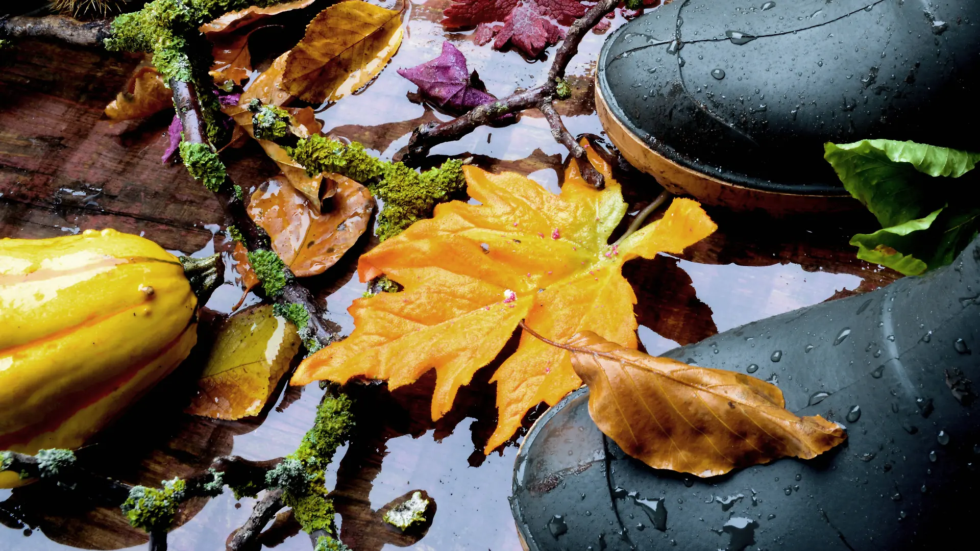 Gummistiefel mit Herbstblatt und Kuerbis im Regen, Deutschland rubber boots with autumn leaf and pumpkin at rain, German