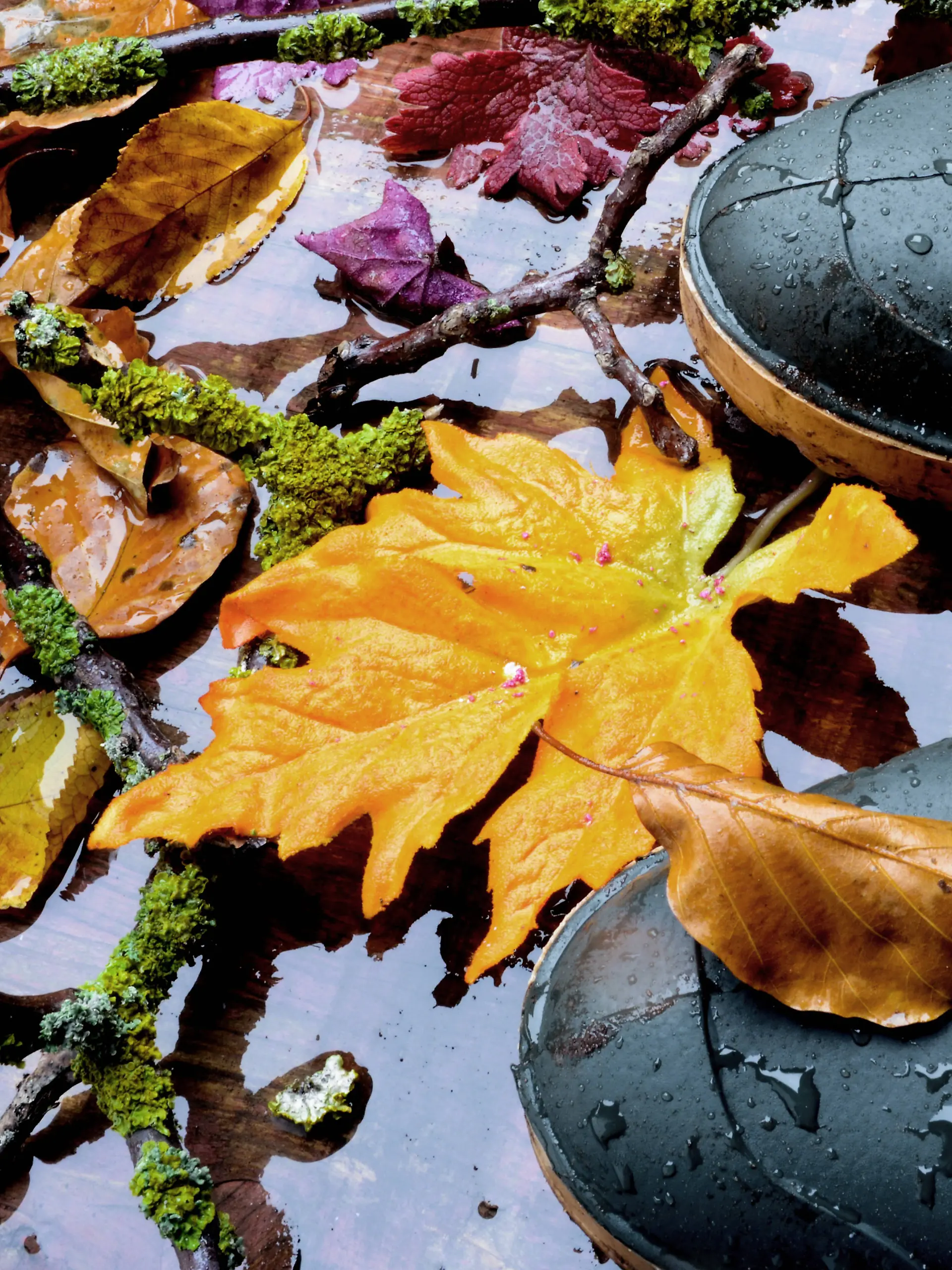 Gummistiefel mit Herbstblatt und Kuerbis im Regen, Deutschland rubber boots with autumn leaf and pumpkin at rain, German
