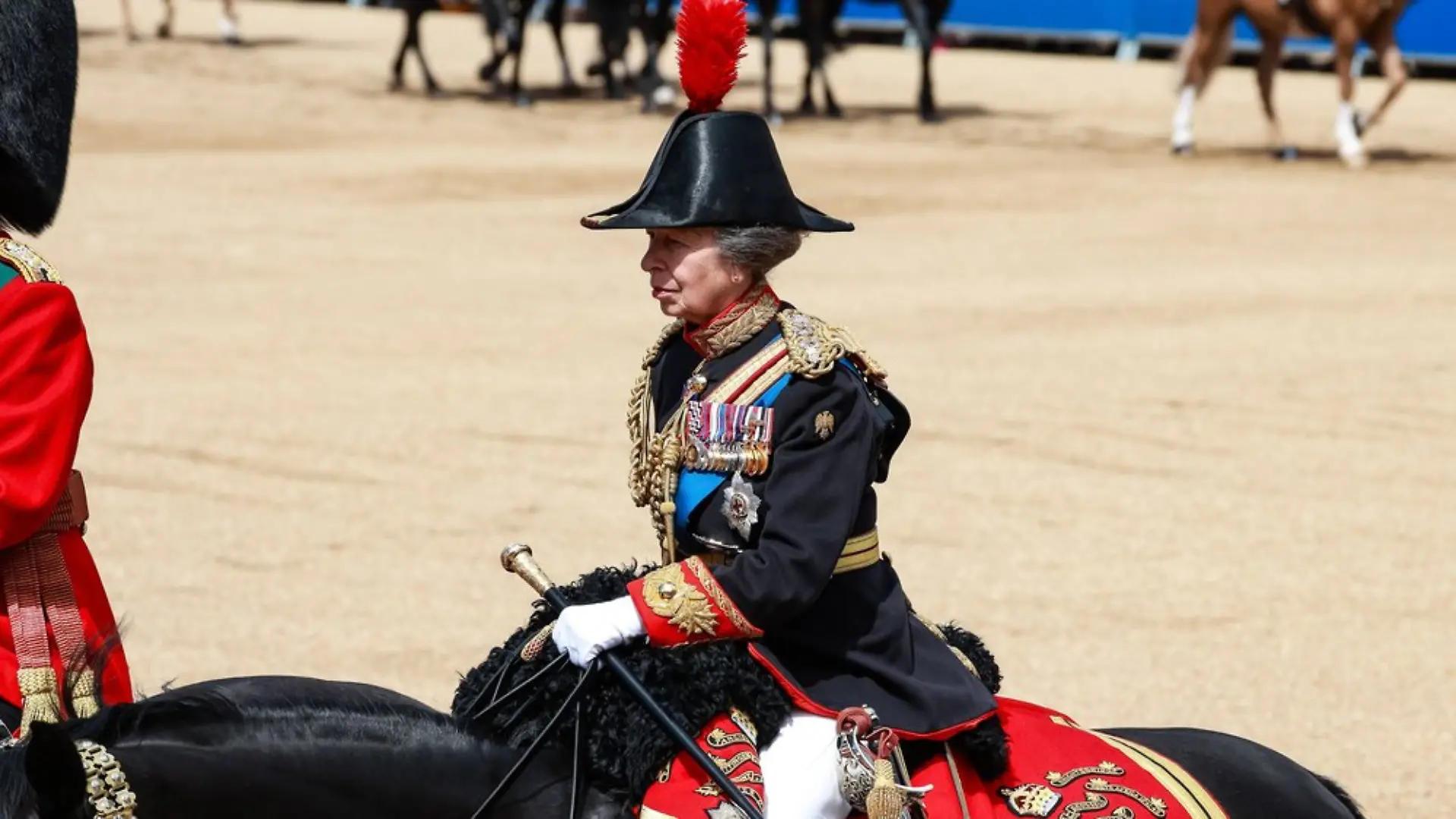 Prinzessin Anne ist derzeit beliebter als alle anderen Mitglieder des britischen Königshauses.