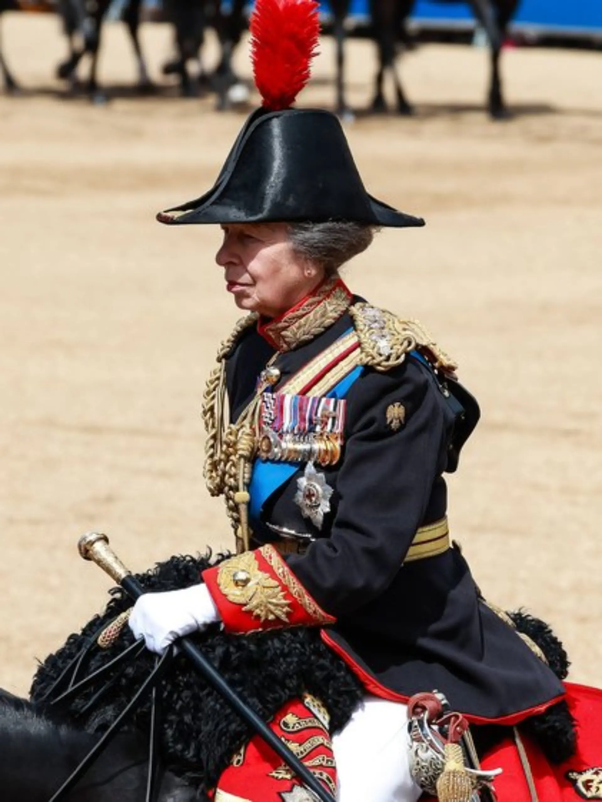 Prinzessin Anne ist derzeit beliebter als alle anderen Mitglieder des britischen Königshauses.