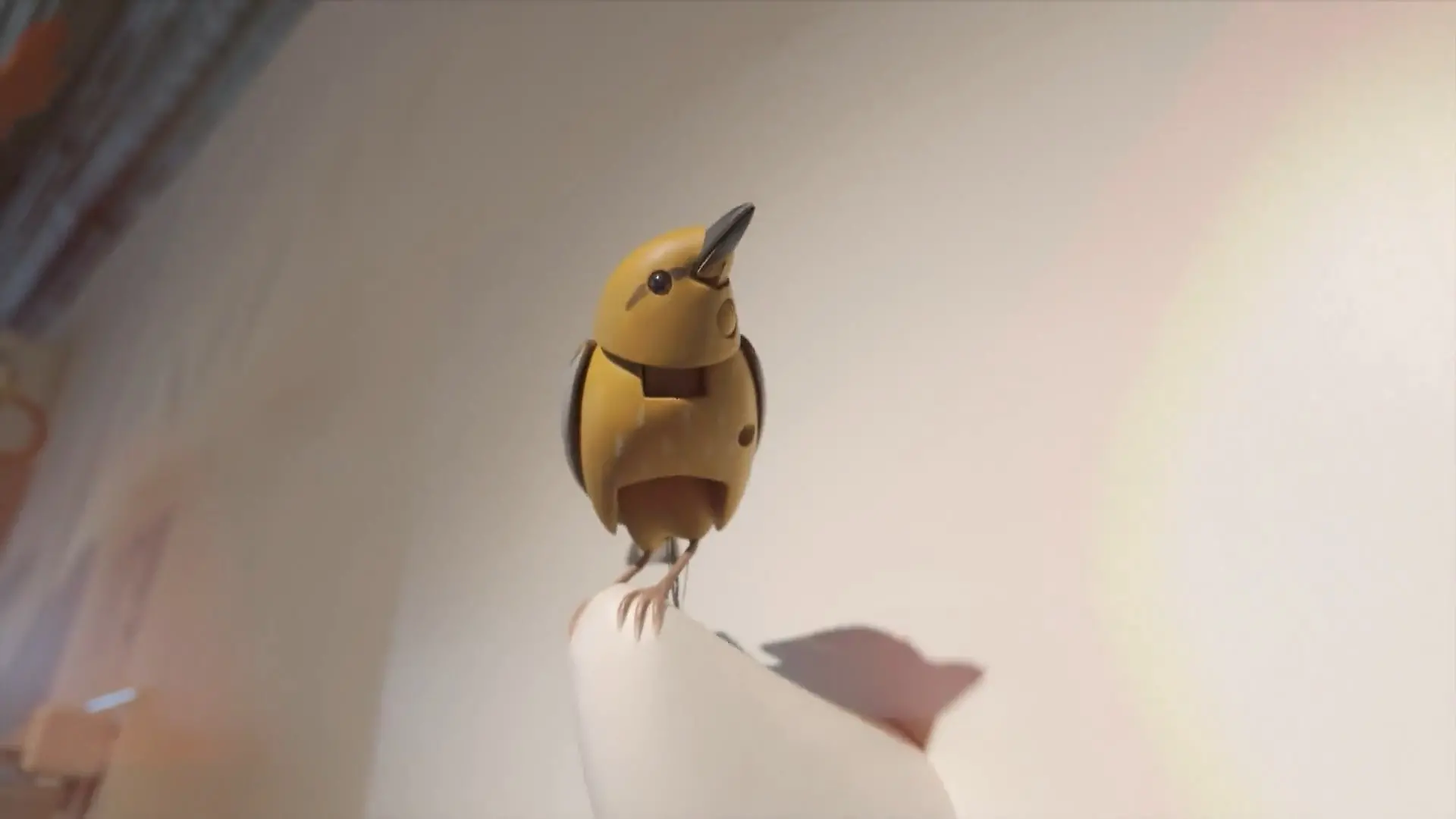 Bild von Warum durfte Kelly Clarkson diesen Vogel nicht kaufen?