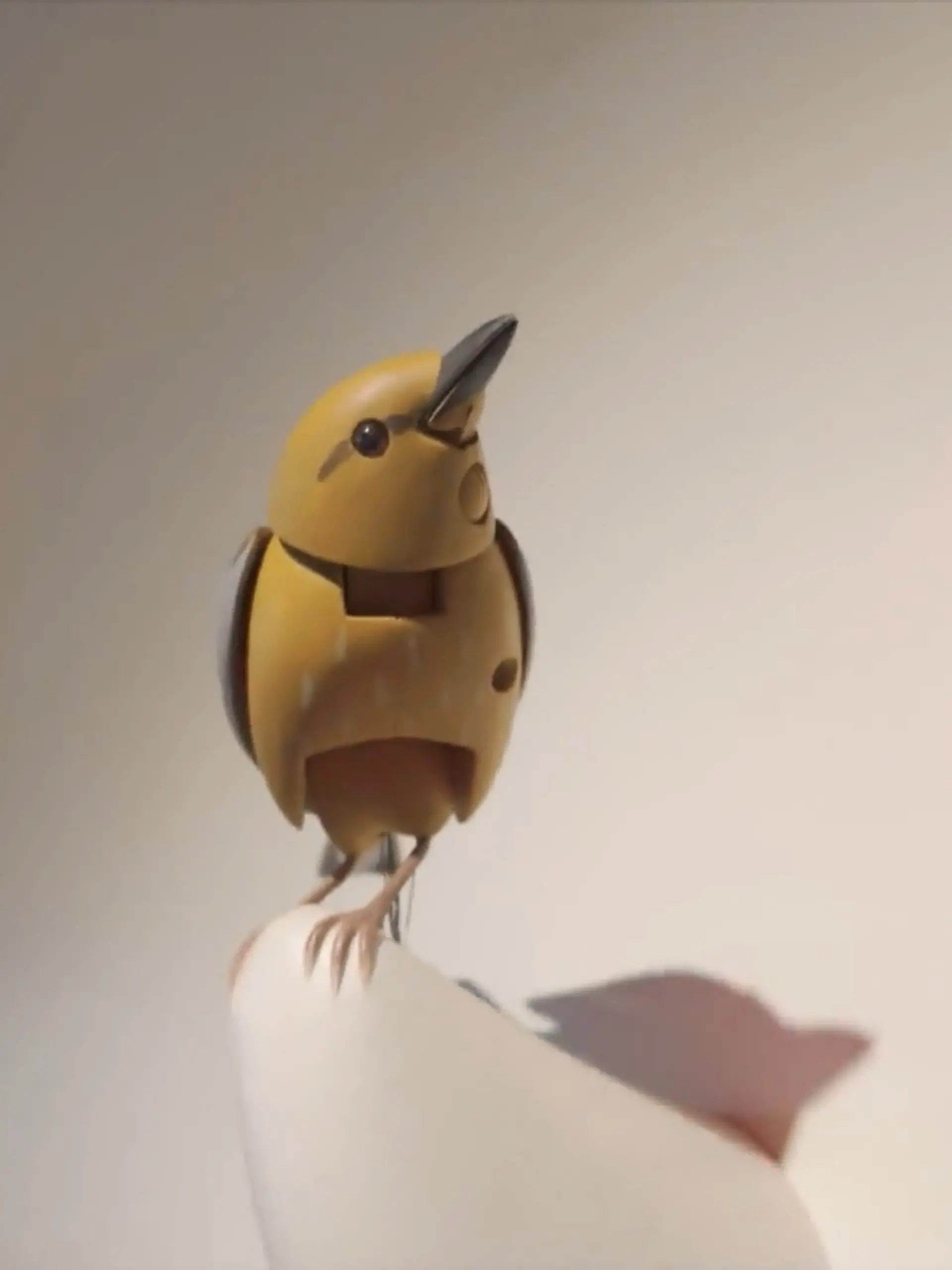 Bild zu: "Warum durfte Kelly Clarkson diesen Vogel nicht kaufen?"