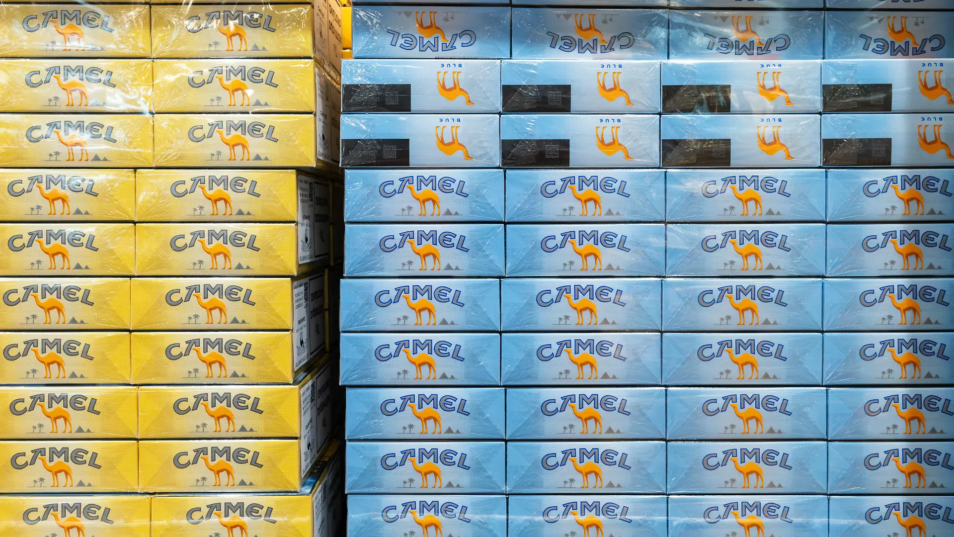 Eine Nahaufnahme eines gut gefuellten Warenregals in einem Innenraum. Zu sehen sind viele bunte Zigarettenschachteln, die in mehreren Reihen dicht nebeneinander und uebereinander gestapelt sind. Die Verpackungen zeigen Logos und Designs, die typisch für Tabakprodukte im Einzelhandel sind. Die Beleuchtung ist hell und gleichmaessig.