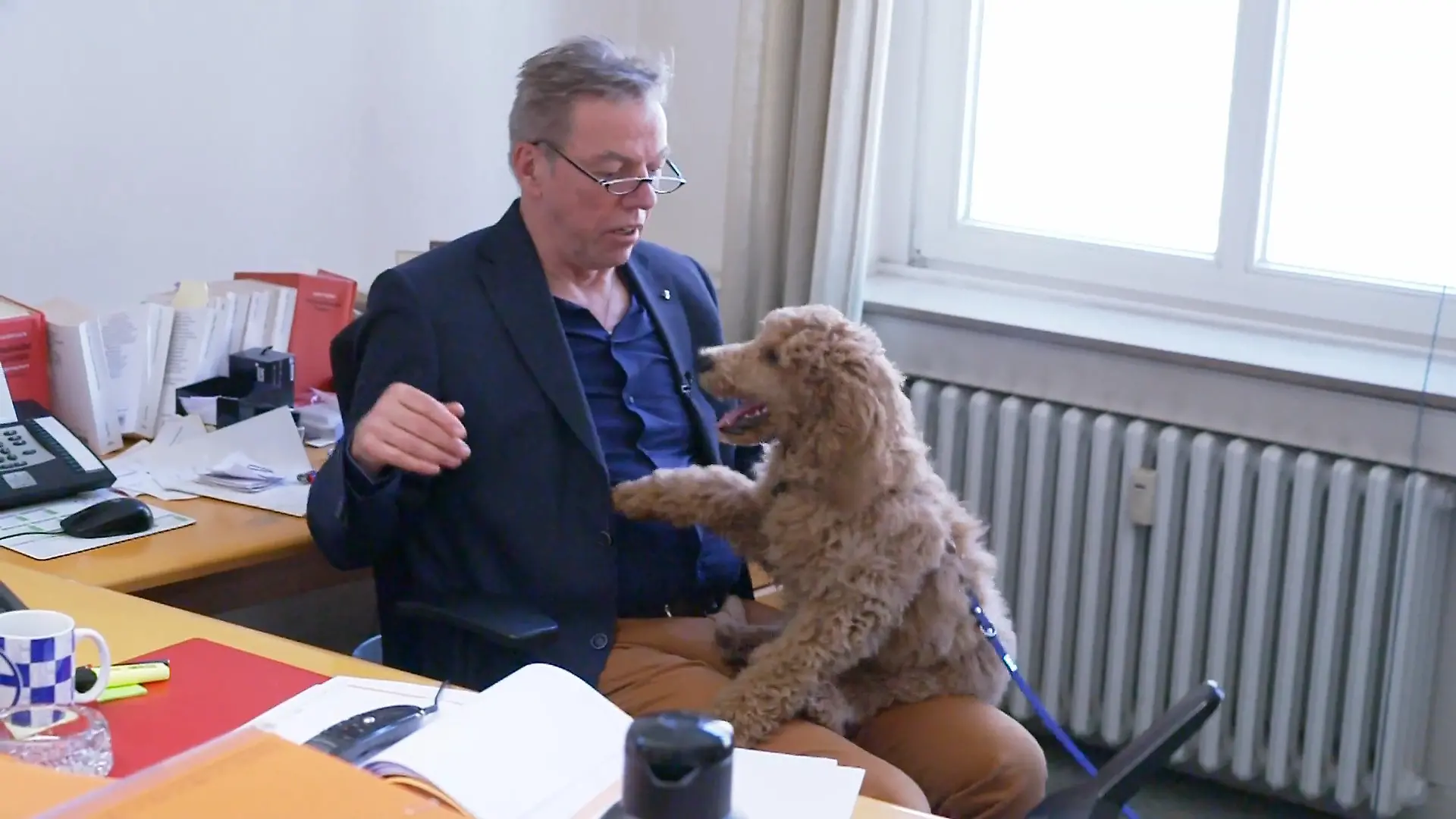 Kassius soll sich diesmal in der Kanzlei besser benehmen Zweite Chance im Büro