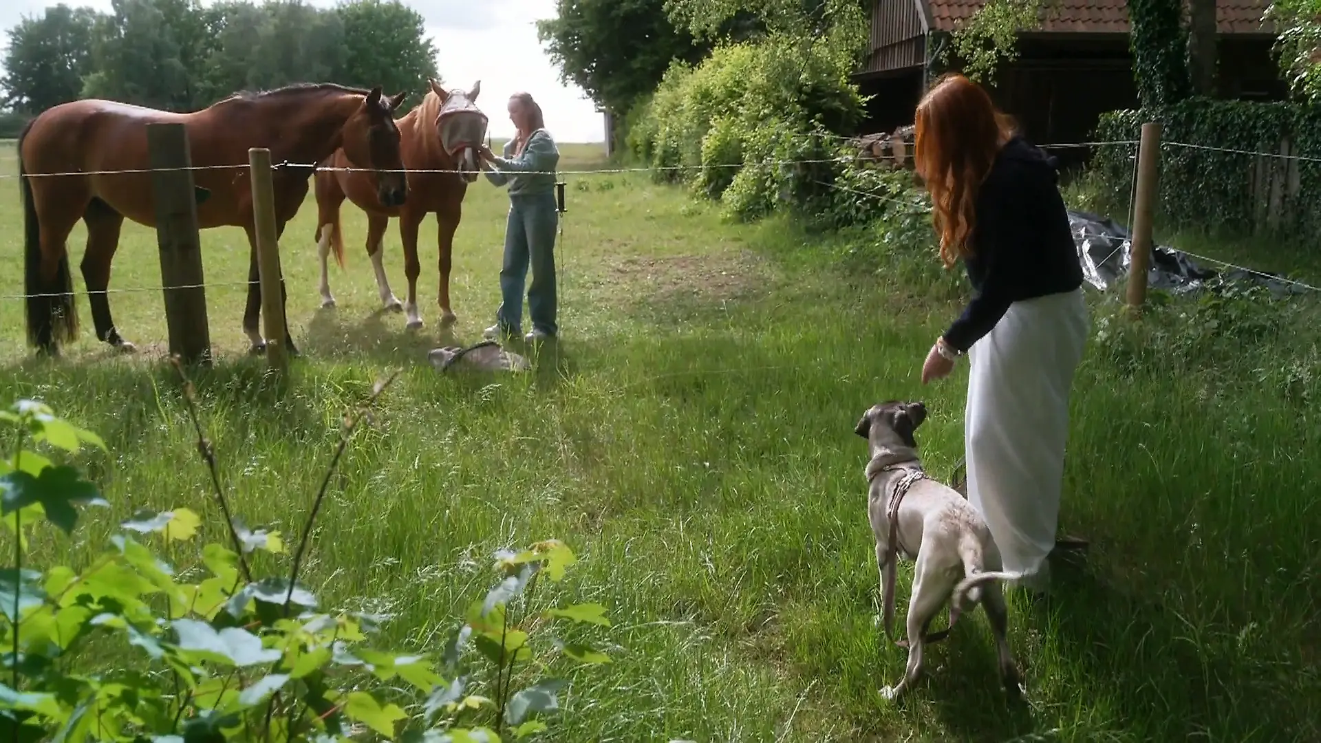 Während die Hustedts im Urlaub sind, übernehmen die Töchter Hundesitting für Akeeva