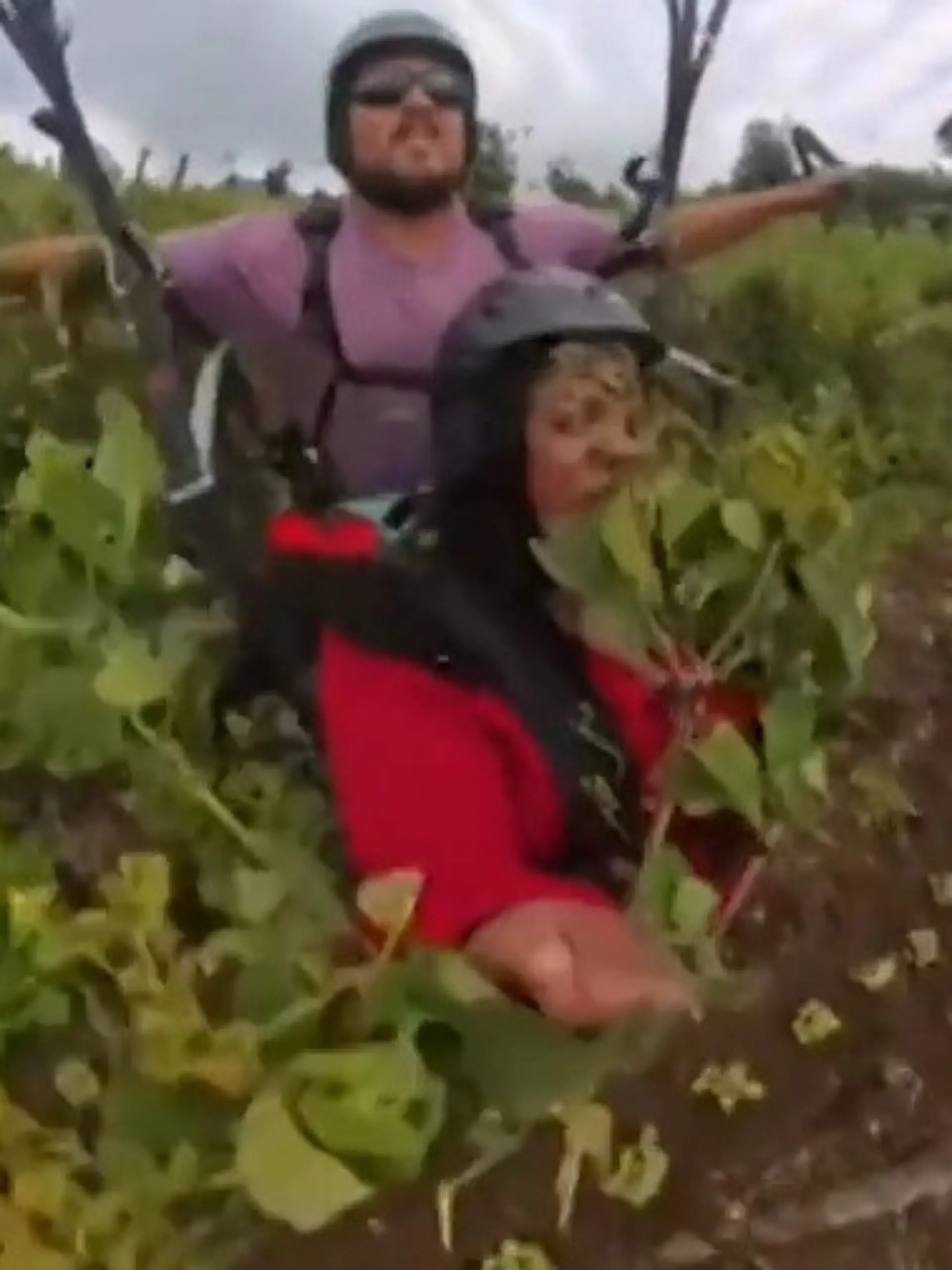 Bild zu: "Irre Gleitschirm-Panne! Duo vergeigt Start – und pflügt mit Gesicht durchs Beet"