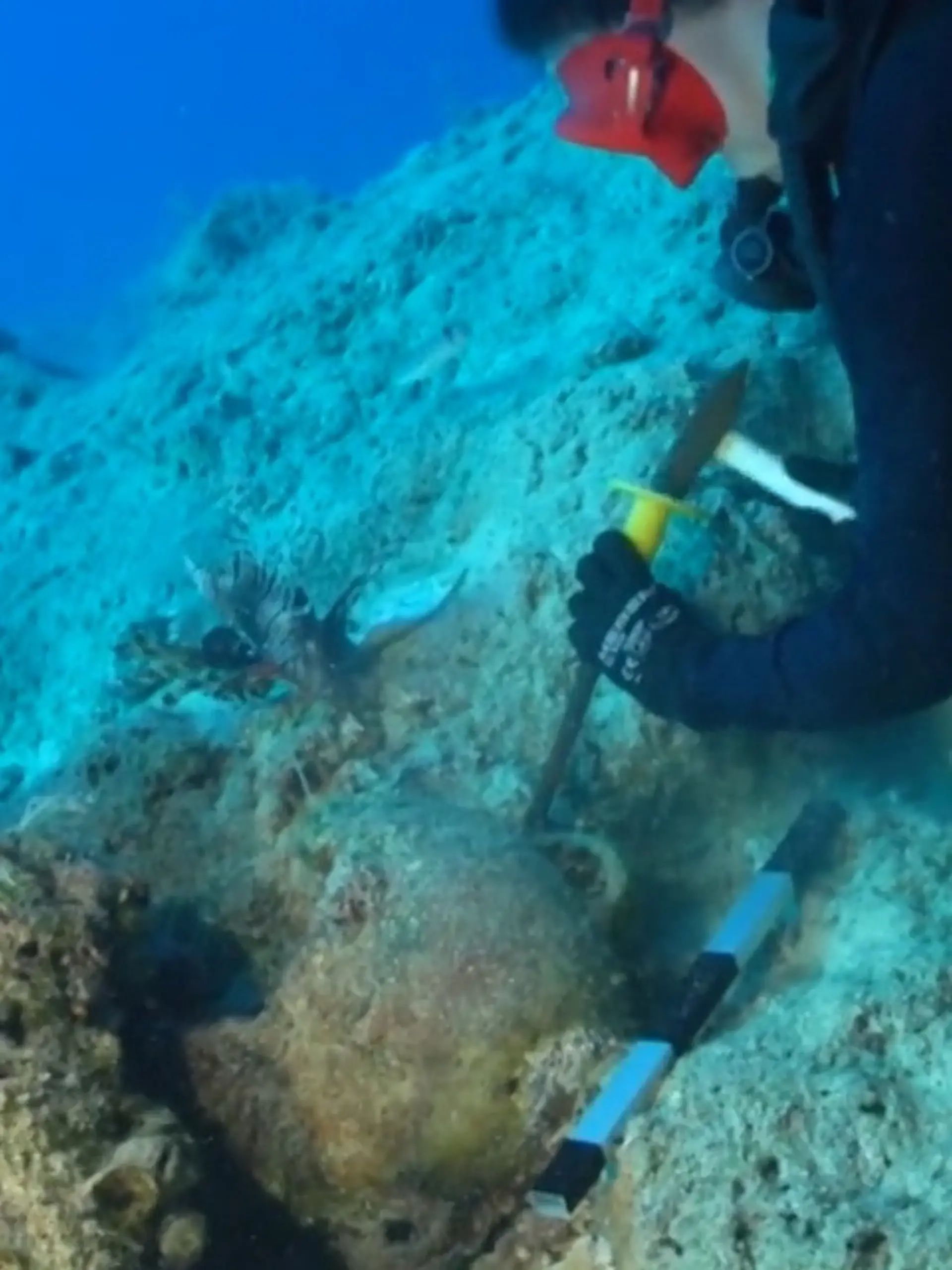 Bild zu: "Ältestes Schiffswrack der Welt! Taucher entdecken Sensationsfund in der Tiefe"