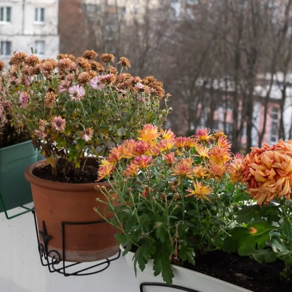 Balkon winterfest machen: Was jetzt noch erledigt werden muss