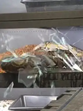 Bild zu: "Riesen-Python sprengt Glasscheibe – direkt vor Schlangenzüchter!"
