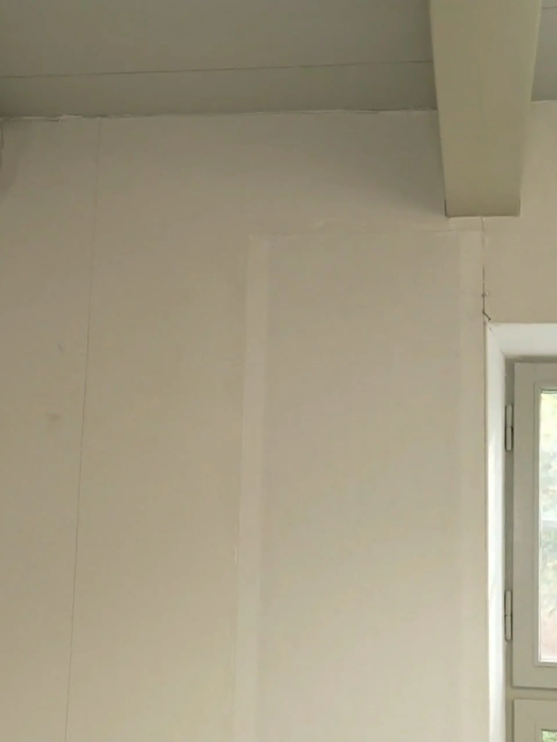 Bild zu: "Diese Tapete heizt das ganze Haus"