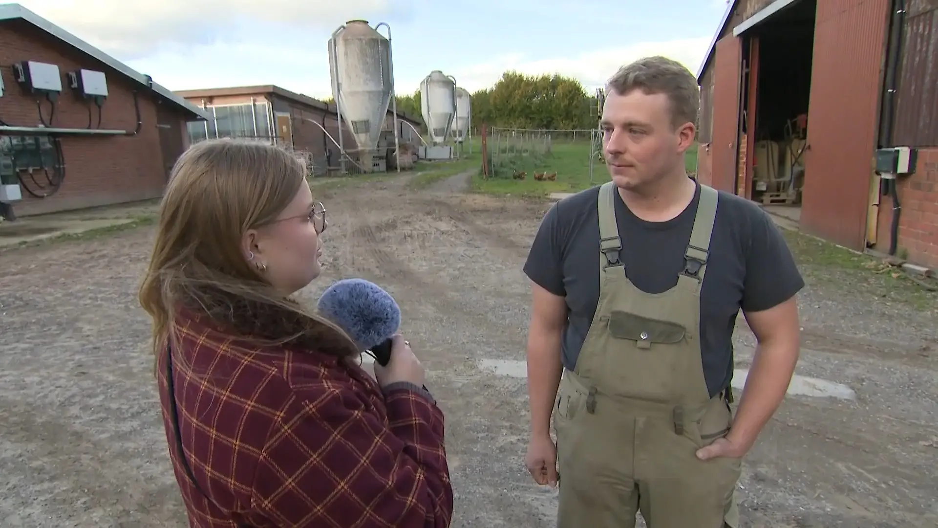 Seine Schweine landen im Skandal-Schlachthof in Kellinghusen Landwirt äußert sich