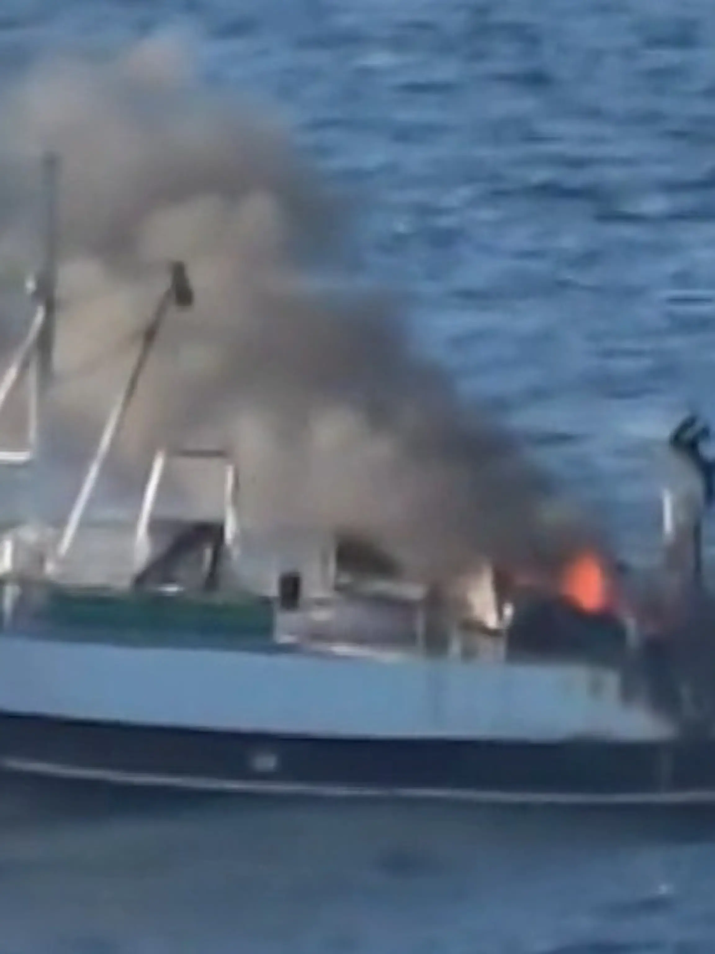 Bild zu: "AIDA-Kreuzfahrtschiff ändert plötzlich Kurs – weil SIE in Not sind!"
