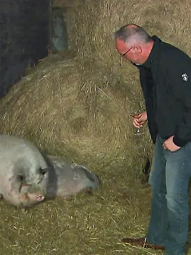 So richtig wohl fühlt sich Andreas bei den Schweinen offensichtlich nicht