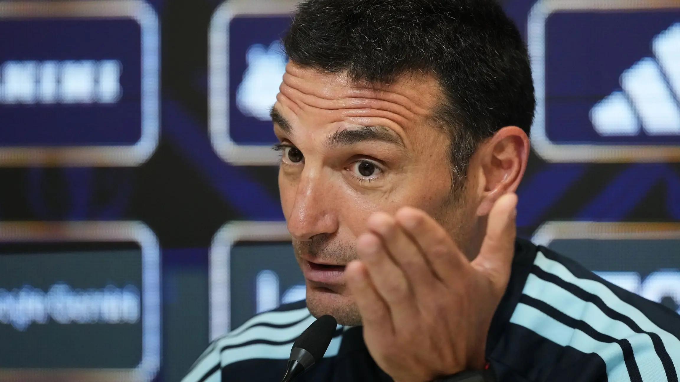 Lionel Scaloni soll sich mit dem Verband über einen neuen Vertrag praktisch einig sein. (Archivbild)