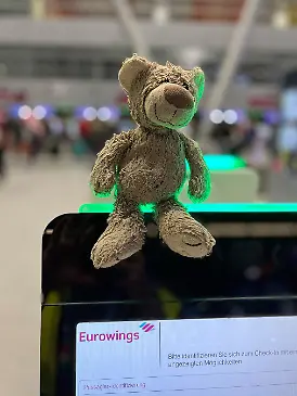 Ein Plüschteddy hat eine riesige Suchaktion am Düsseldorfer Flughafen ausgelöst.