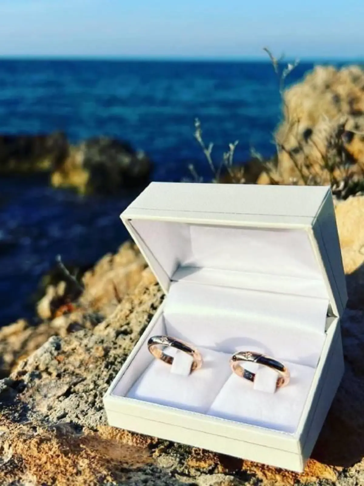 Die Hochzeitsringe des Paares sind ganz schlicht  in Gold gehalten.