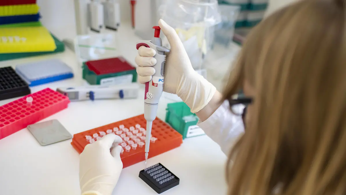 Laborantin in einem PCR-Labor in Berlin. 12.11.2020 Berlin Deutschland *** Laboratory assistant in a PCR laboratory in Berlin 12 11 2020 Berlin Germany Copyright: xThomasxImo/photothek.netx