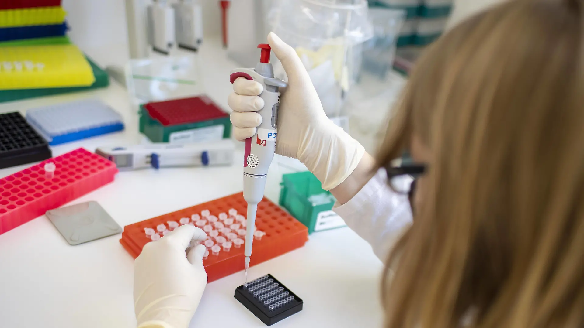 Laborantin in einem PCR-Labor in Berlin. 12.11.2020 Berlin Deutschland *** Laboratory assistant in a PCR laboratory in Berlin 12 11 2020 Berlin Germany Copyright: xThomasxImo/photothek.netx