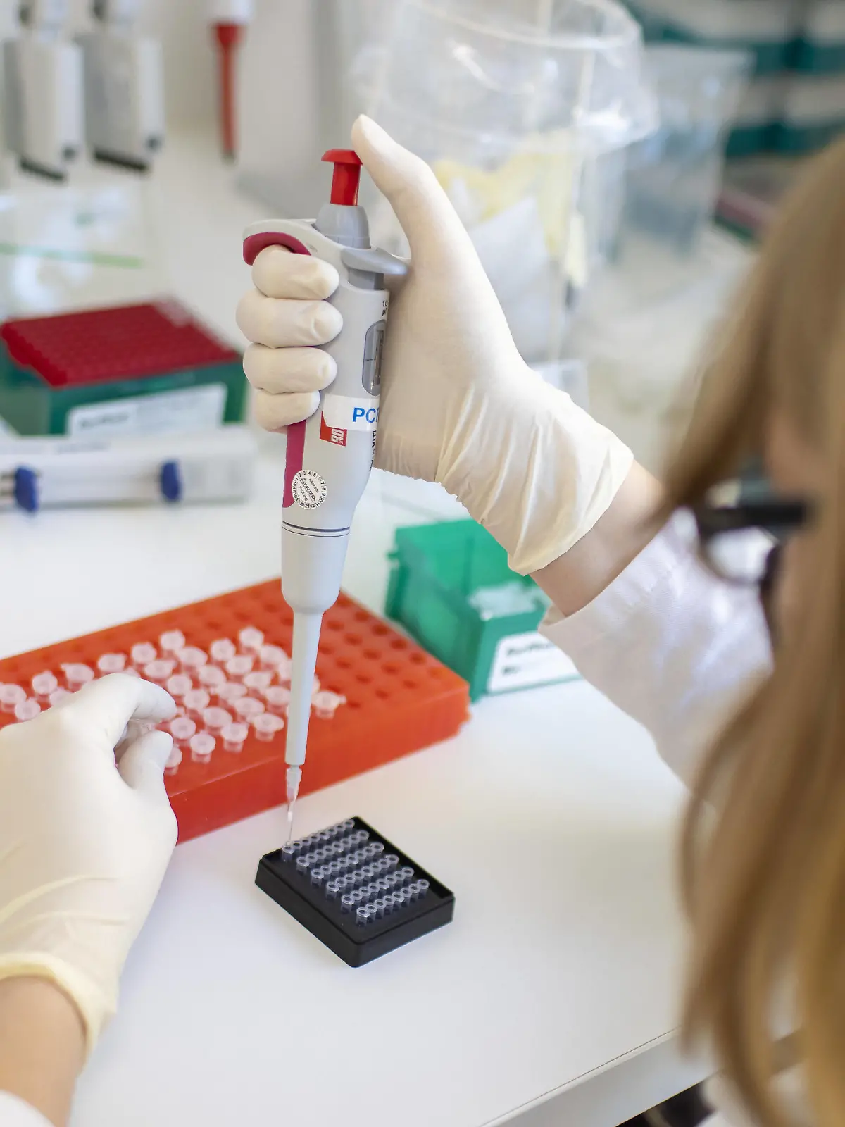  Laborantin in einem PCR-Labor in Berlin. 12.11.2020 Berlin Deutschland *** Laboratory assistant in a PCR laboratory in Berlin 12 11 2020 Berlin Germany Copyright: xThomasxImo/photothek.netx