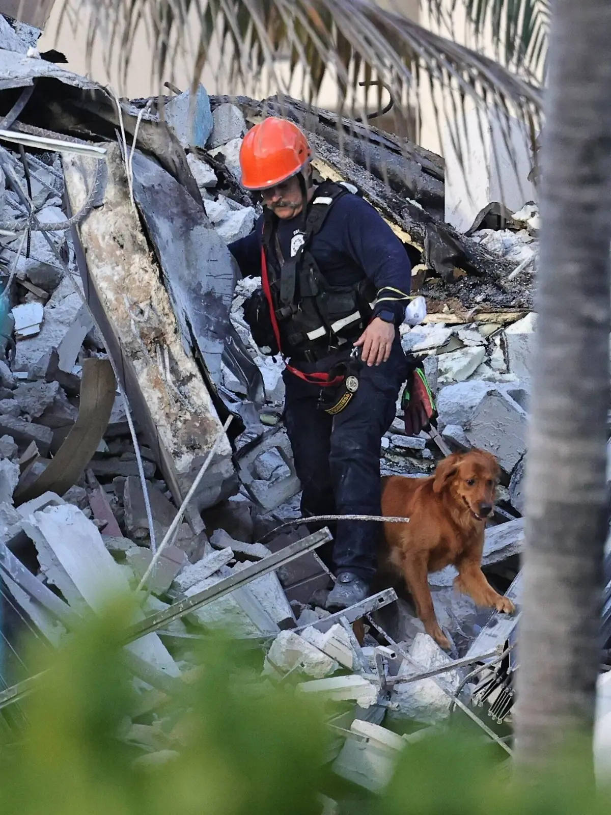 June 24, 2021, Surfside, Florida, USA: Fire rescue personnel conduct search and rescue with dogs in the rubble at Champlain Towers South Condo in Surfside, located at 8777 Collins Avenue, a part of which collapsed in the early morning in Surfside, Florida, Thursday, June 24, 2021. Surfside USA - ZUMAm67_ 20210624_zaf_m67_014 Copyright: xDavidxSantiagox 