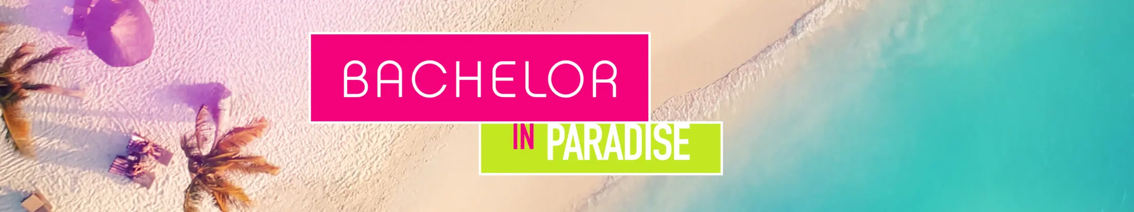 Bachelor in Paradise Banner Desktop