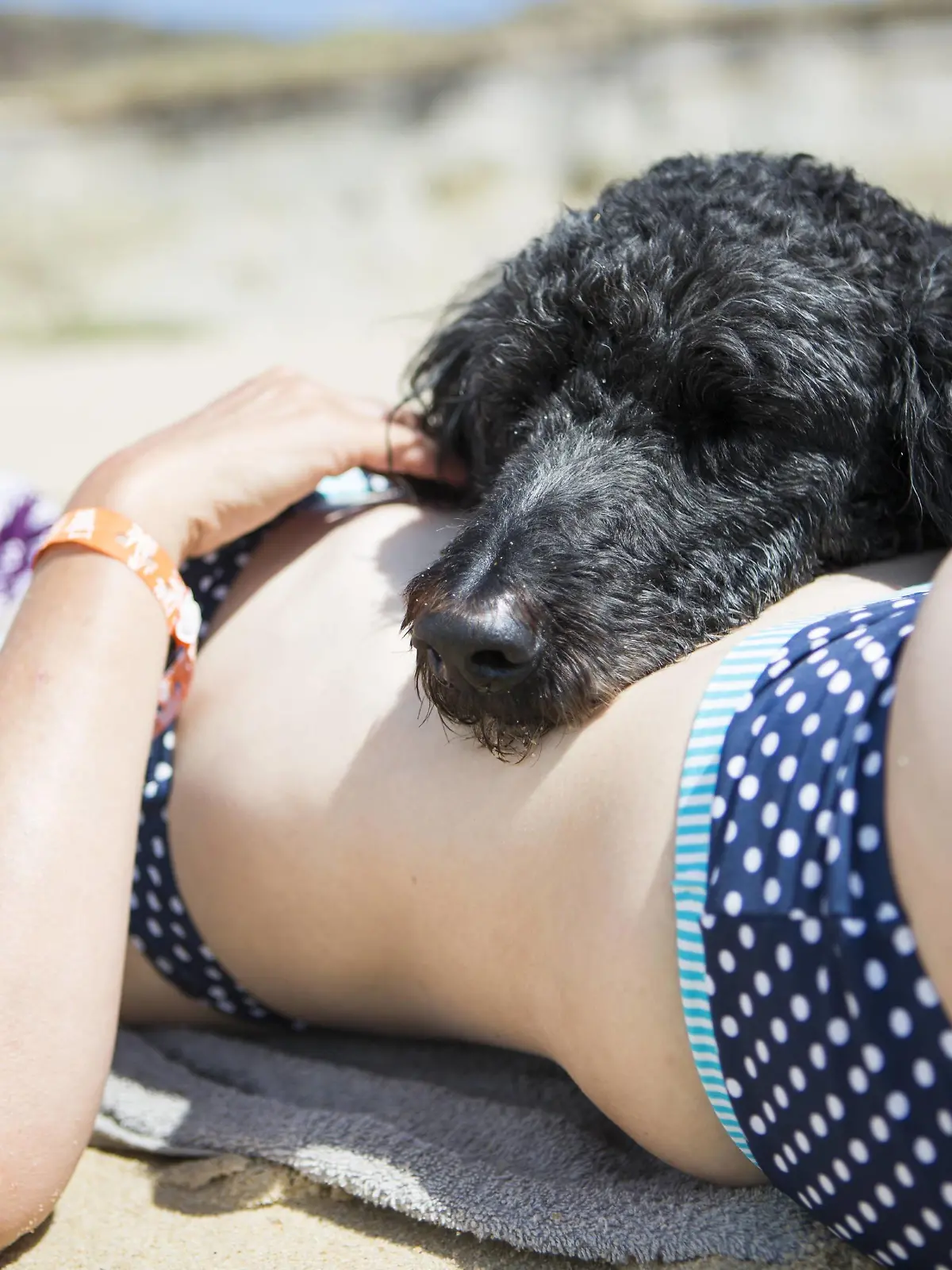 Head of dog lying on belly of woman sunbathing on the beach model released Symbolfoto property released PUBLICATIONxINxGERxSUIxAUTxHUNxONLY JATF01127  